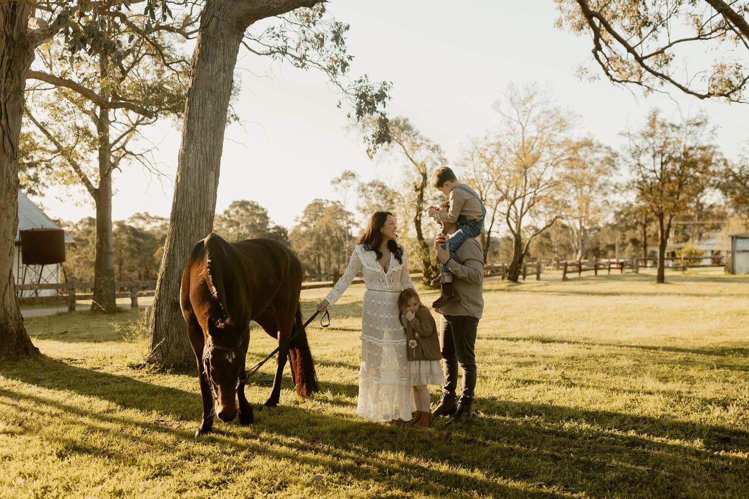 A series of romantic sunset engagement photos taken in a golden field with tall trees casting long shadows.