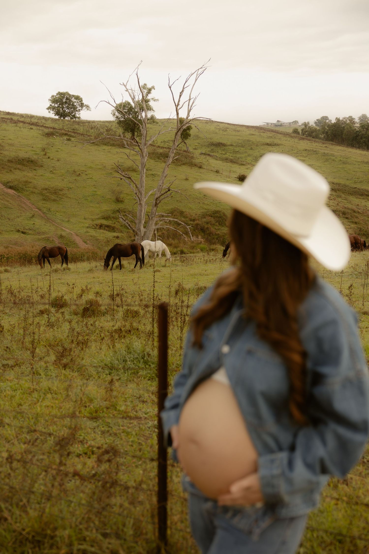 Outdoor maternity photography in Sydney, Central Coast, Blue Mountains, Wollongong, in field, farm, garden and countryside