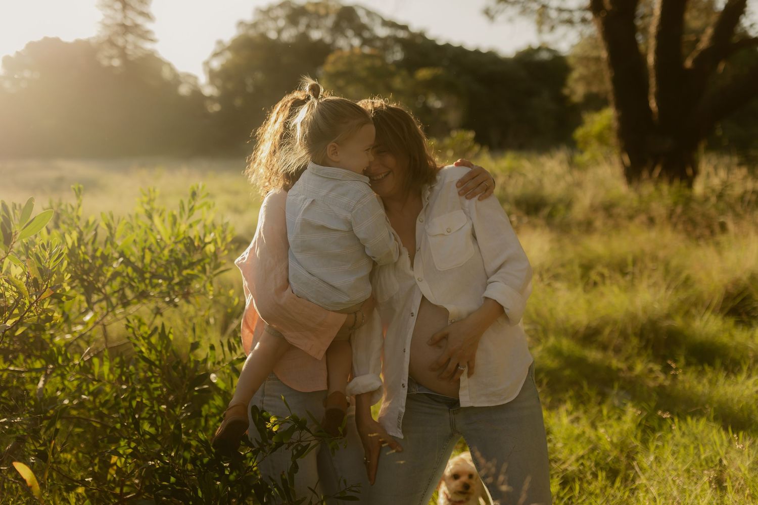 People embracing in a sun-drenched field with golden light filtering through the trees.