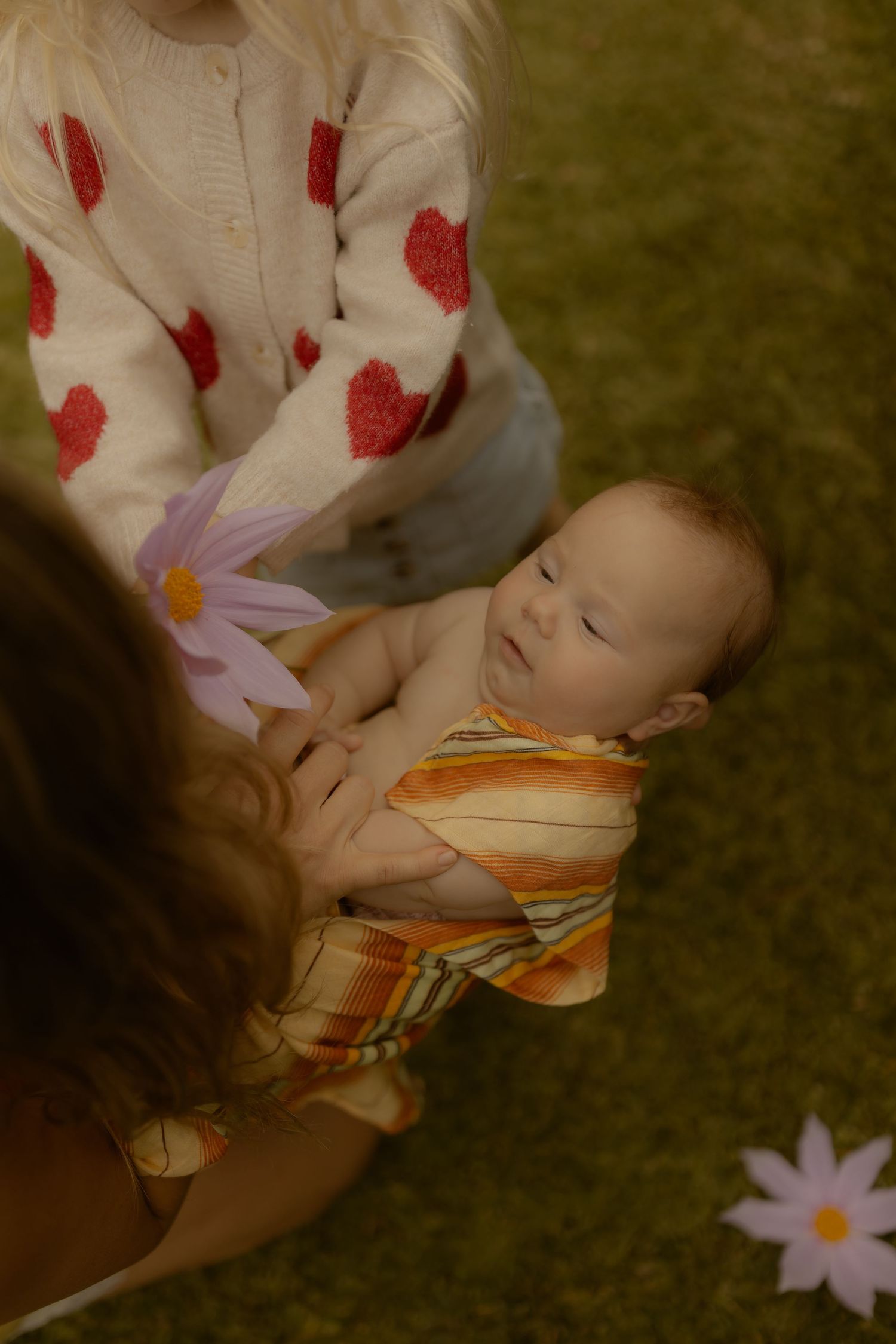 A baby wrapped in a striped blanket being held by two women on green grass with pink flowers nearby.