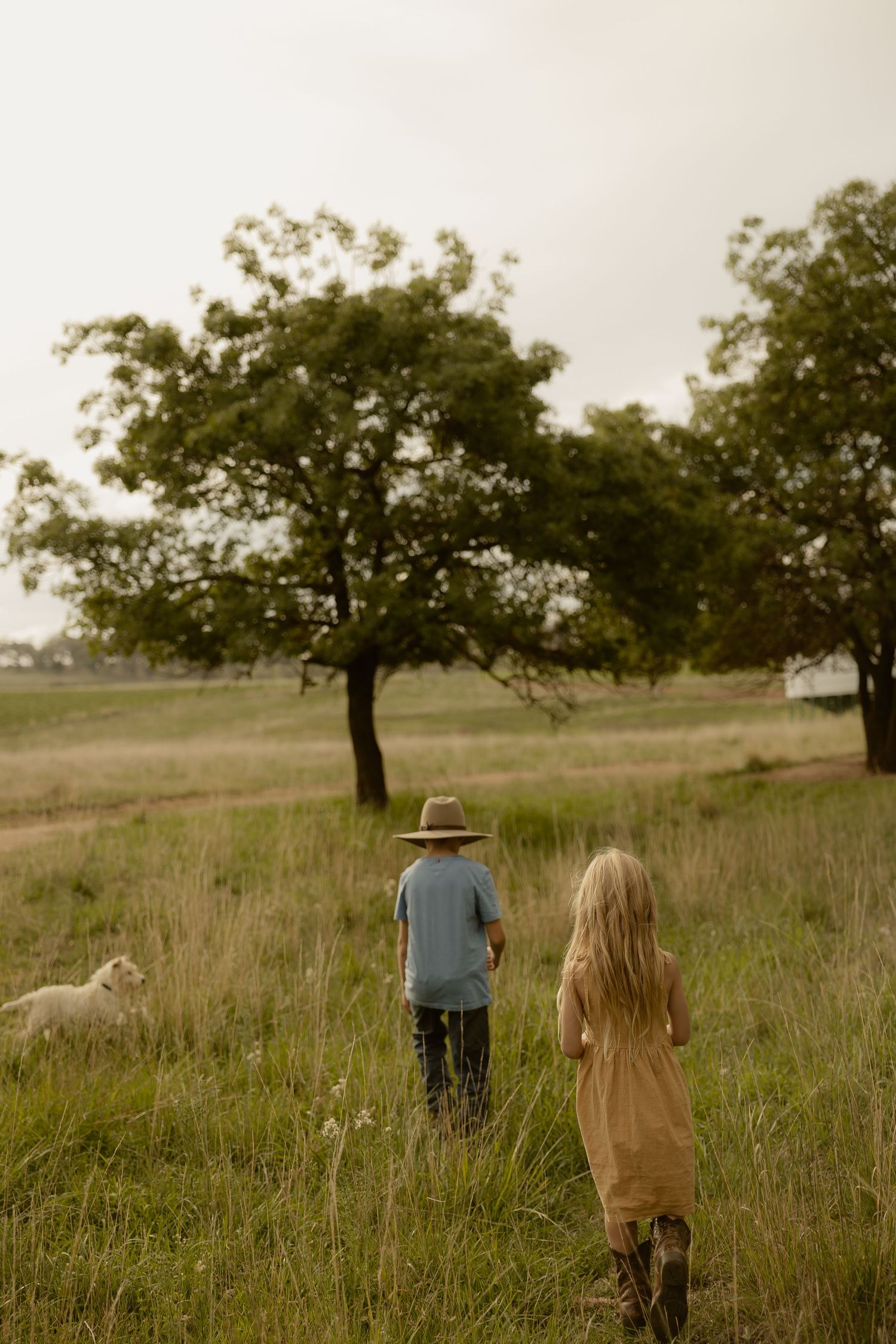 Outdoor family photography in Sydney, Central Coast, Blue Mountains, Wollongong and Kangaroo Valley, in field, farm, garden and countryside