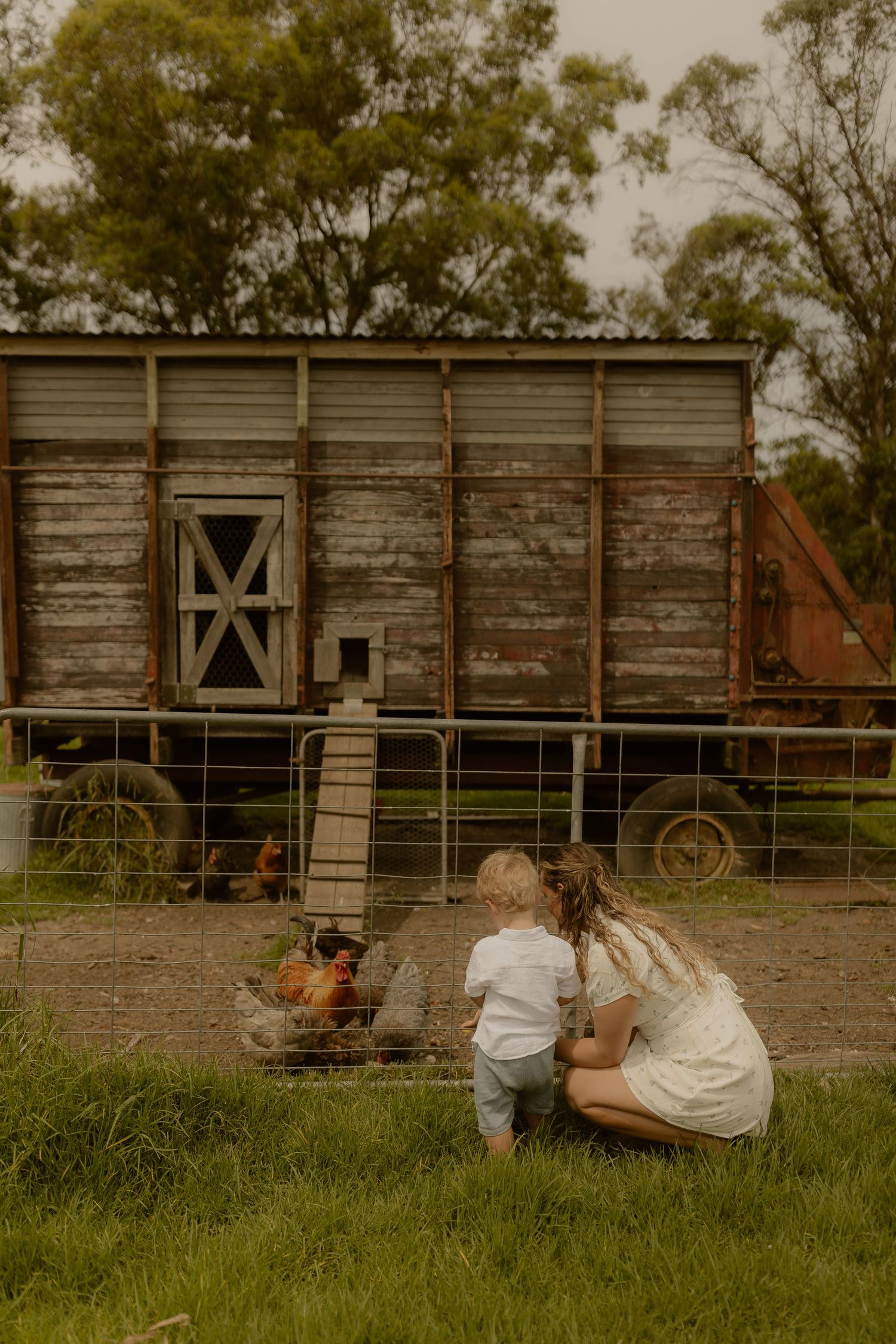 People relax on grass near rustic wooden farm buildings.