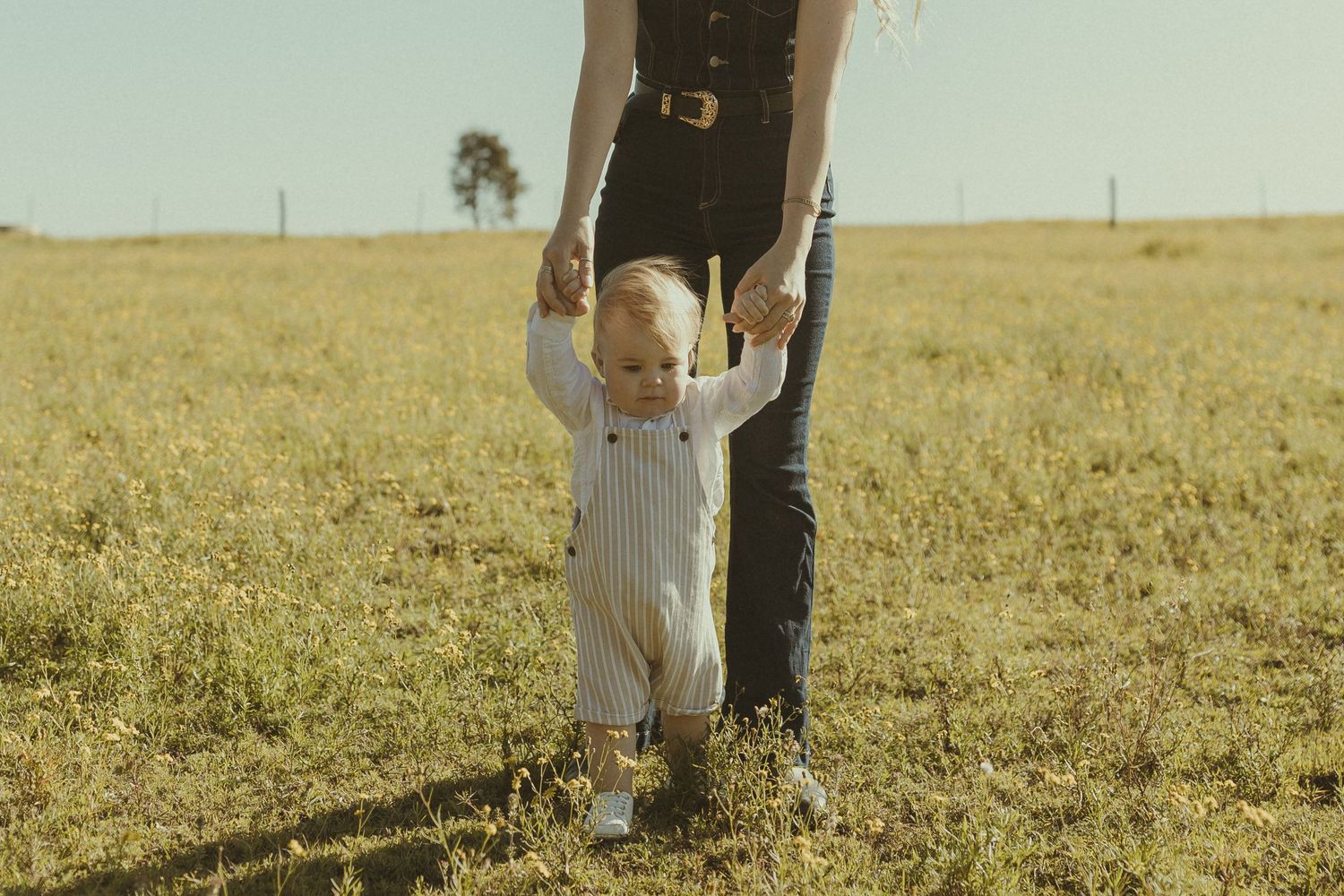 A couple stands together in a golden wheat field during sunset, creating a romantic silhouette against the warm sky.
