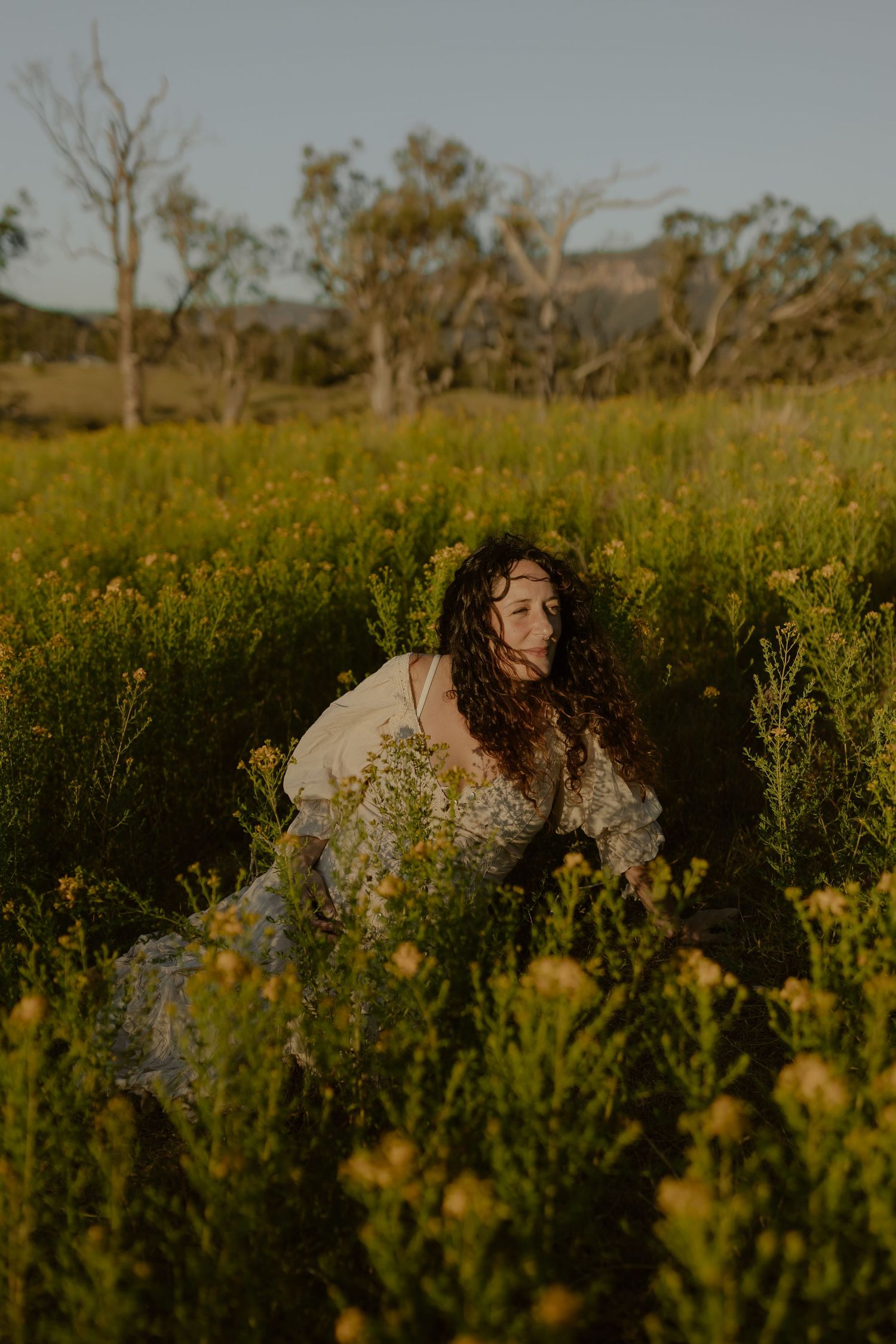 A dreamy scene in a wildflower meadow with soft golden light.