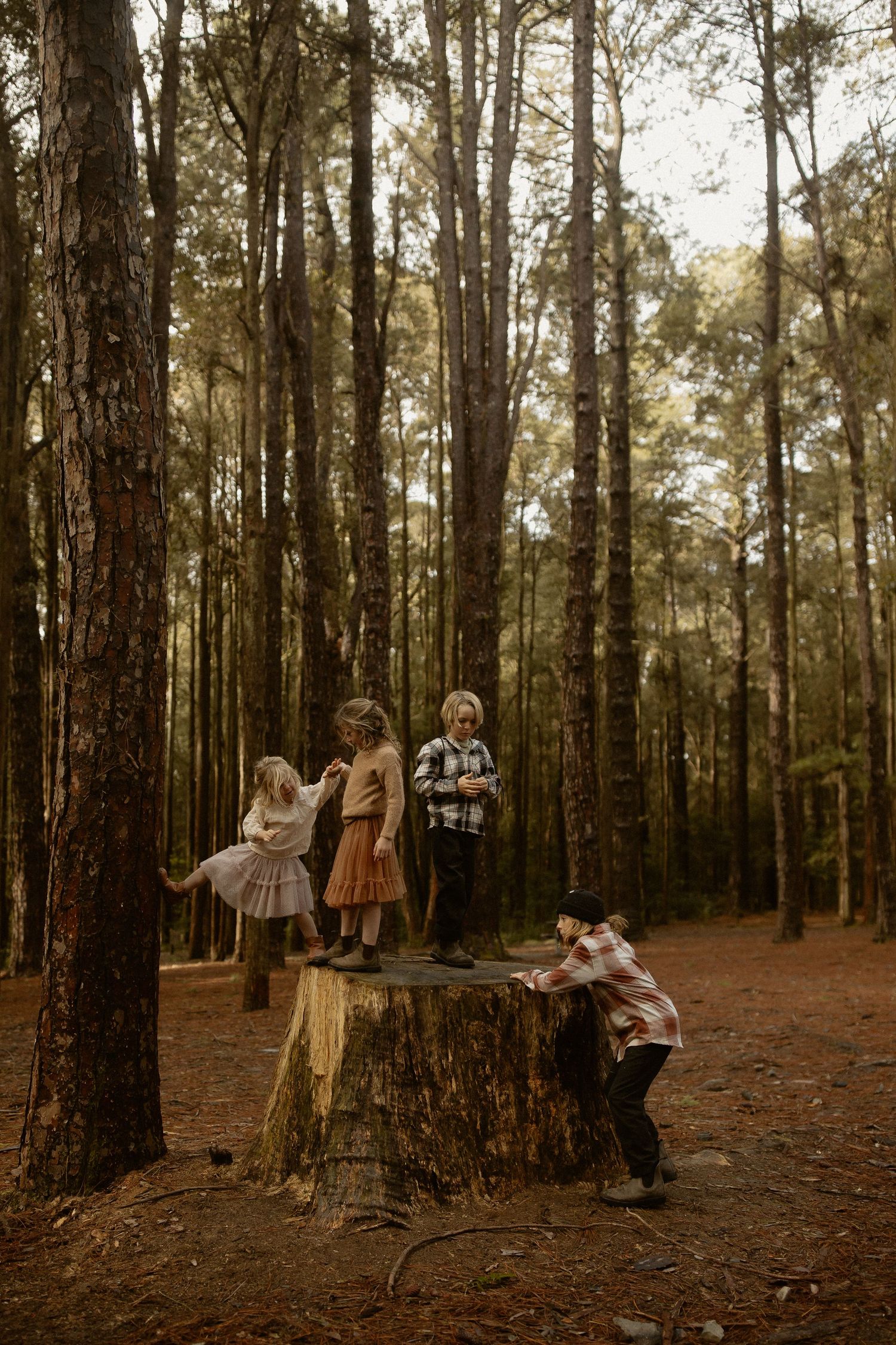 Nostalgic forest scene with figures posed among tall pine trees on a rustic forest floor.