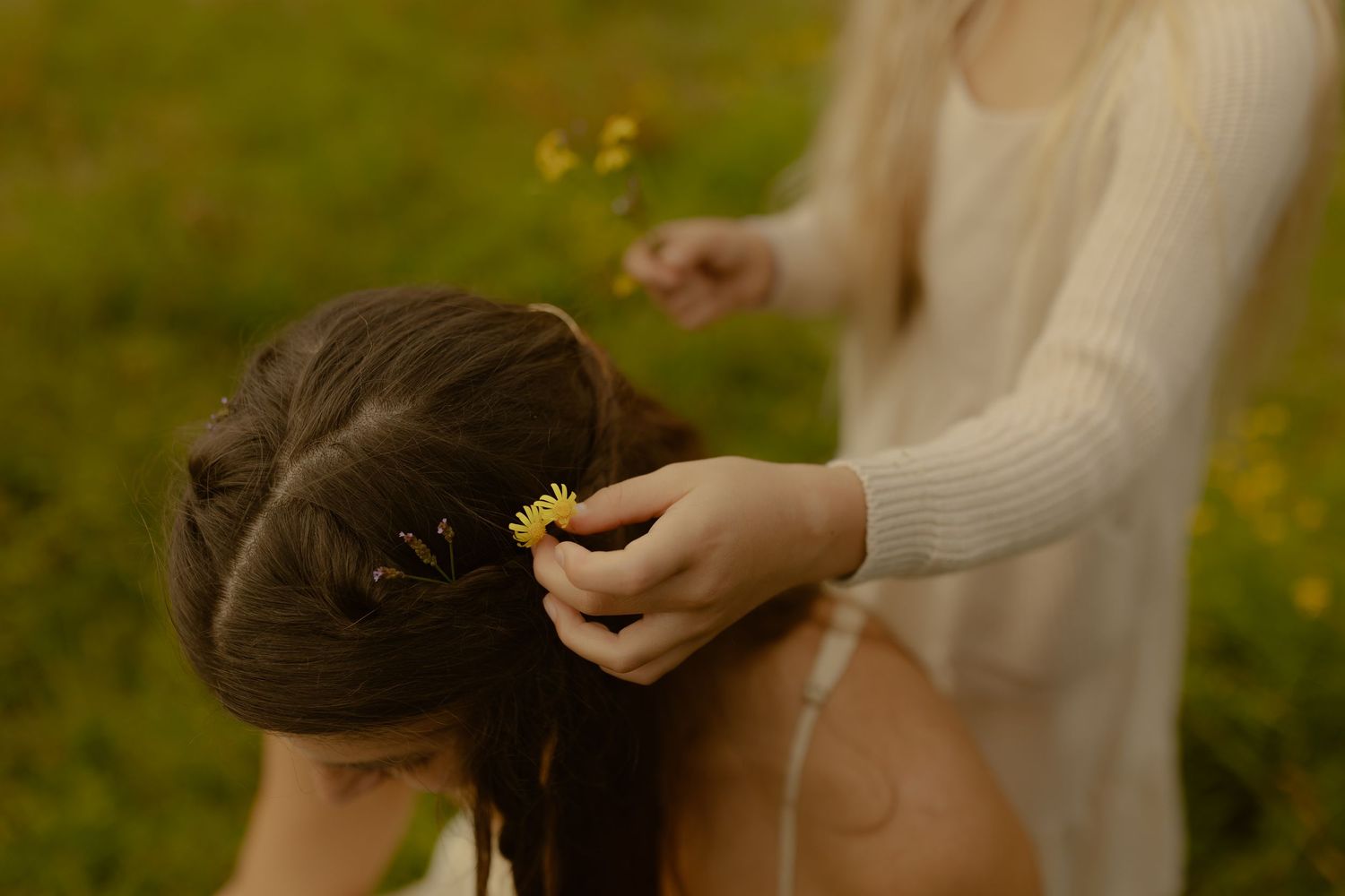 A person placing a yellow wildflower into a brunette womans braided hair outdoors in a green field.