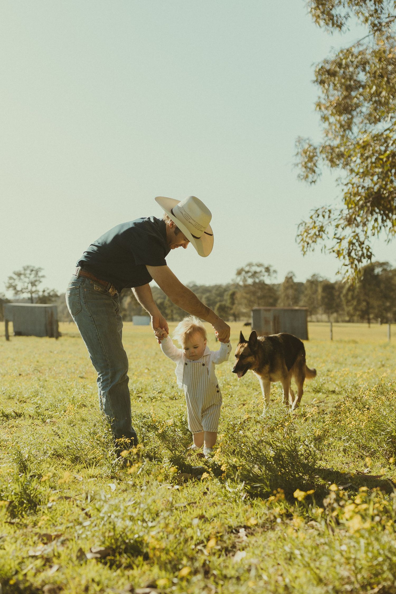 A heartwarming moment in a sunlit field as a person in a cowboy hat helps a toddler walk while a dog watches nearby.