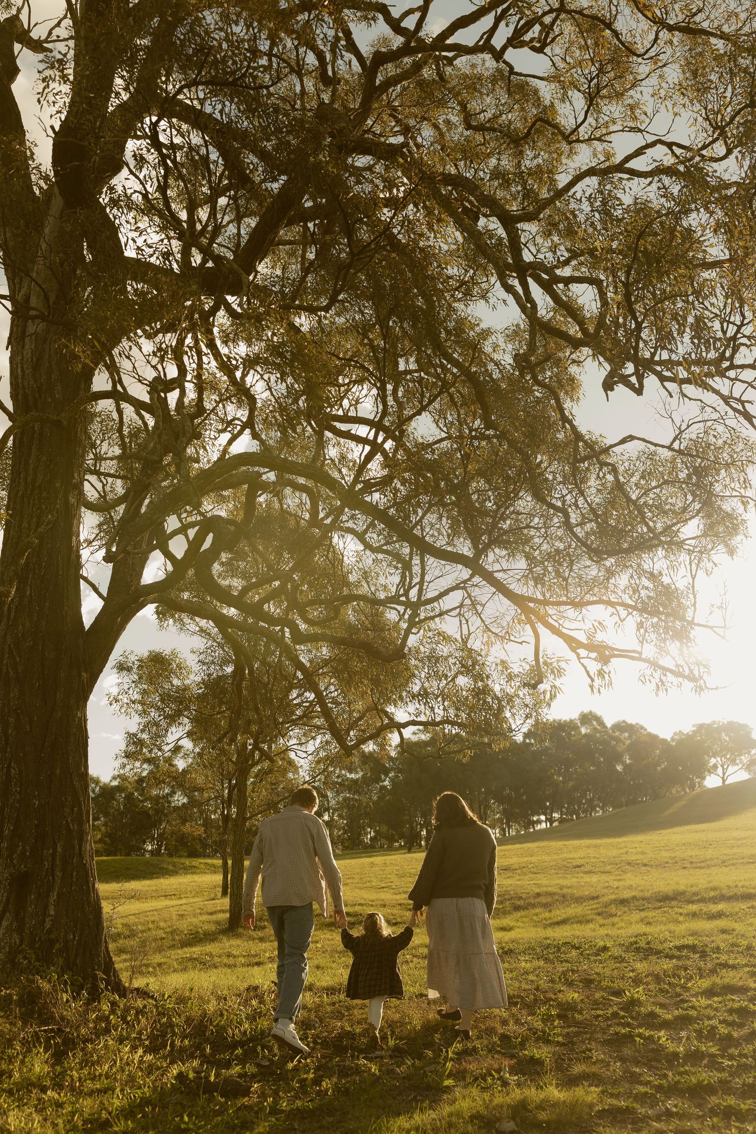 A family of three holds hands walking toward a large sunlit tree in a golden grassy field.