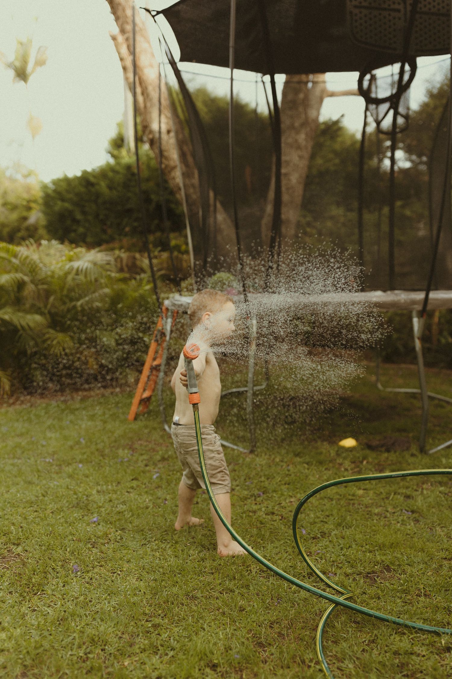 Water spraying from a garden hose creates playful patterns across a green lawn on a sunny day.