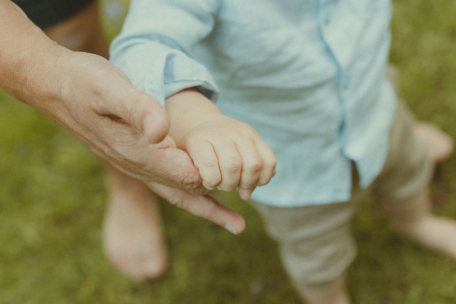 Close-up view of hands reaching out against a bright outdoor background.