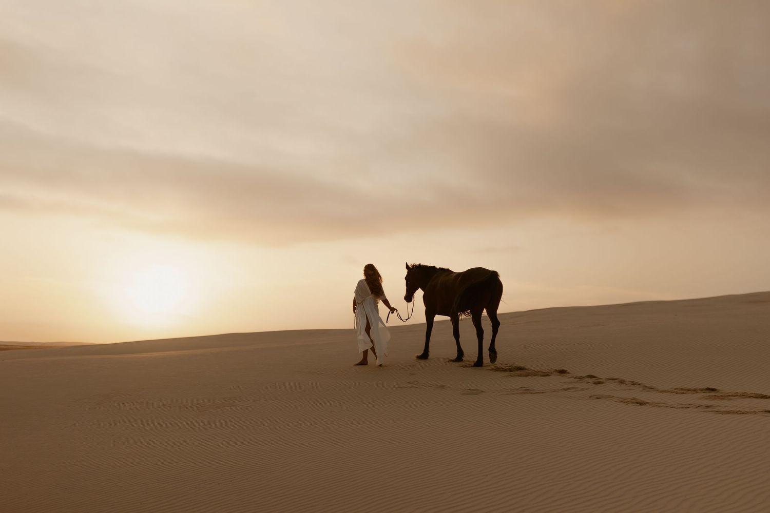 A silhouetted horse and rider stand against a dramatic desert sunset with rolling sand dunes in the background.
