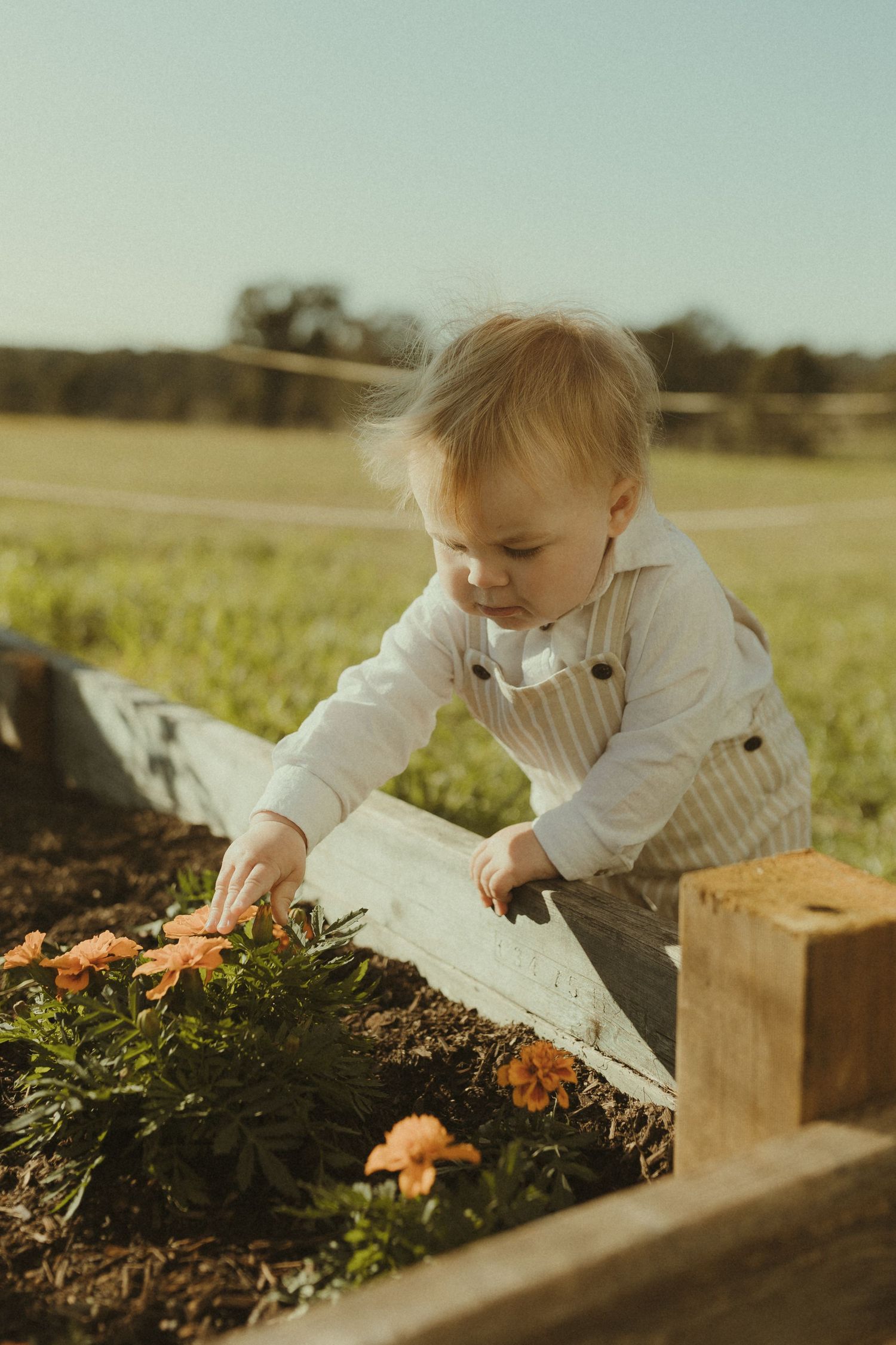 A small child explores wooden garden boxes filled with flowers and soil on a sunny day.