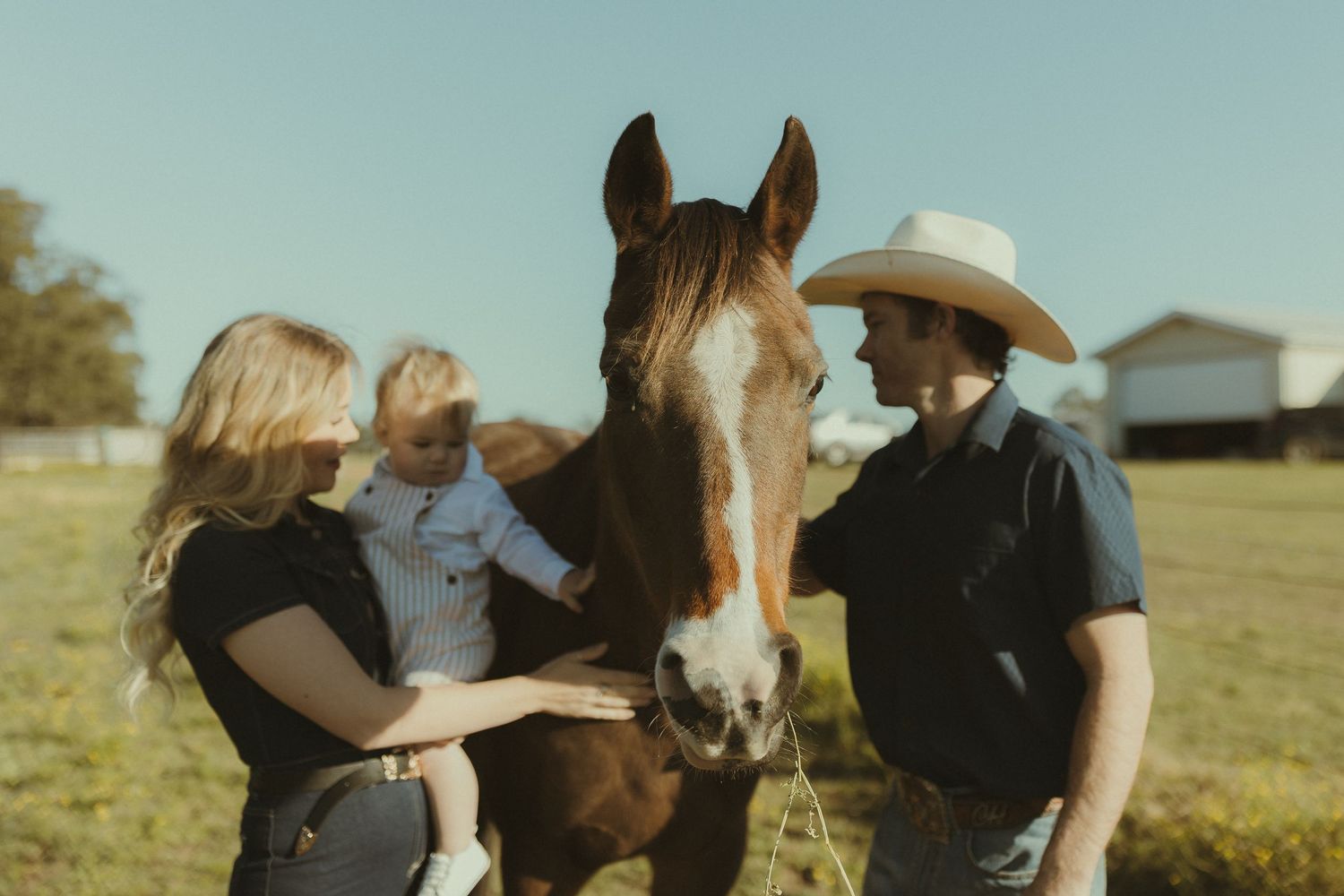 A family shares a moment with their horse on a sunny farm day.