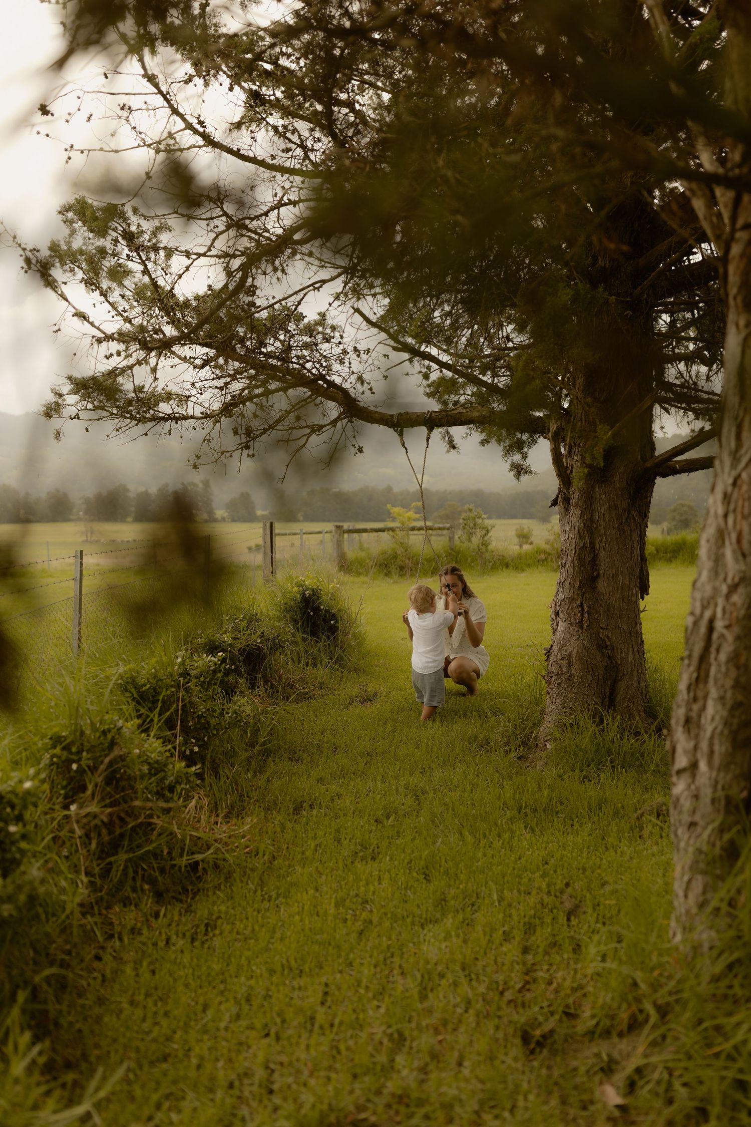 Tall trees cast shadows across a serene country field on a misty afternoon.