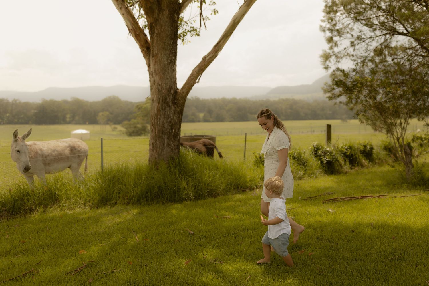 People in white outfits walk along a grassy hilltop with scenic countryside views.