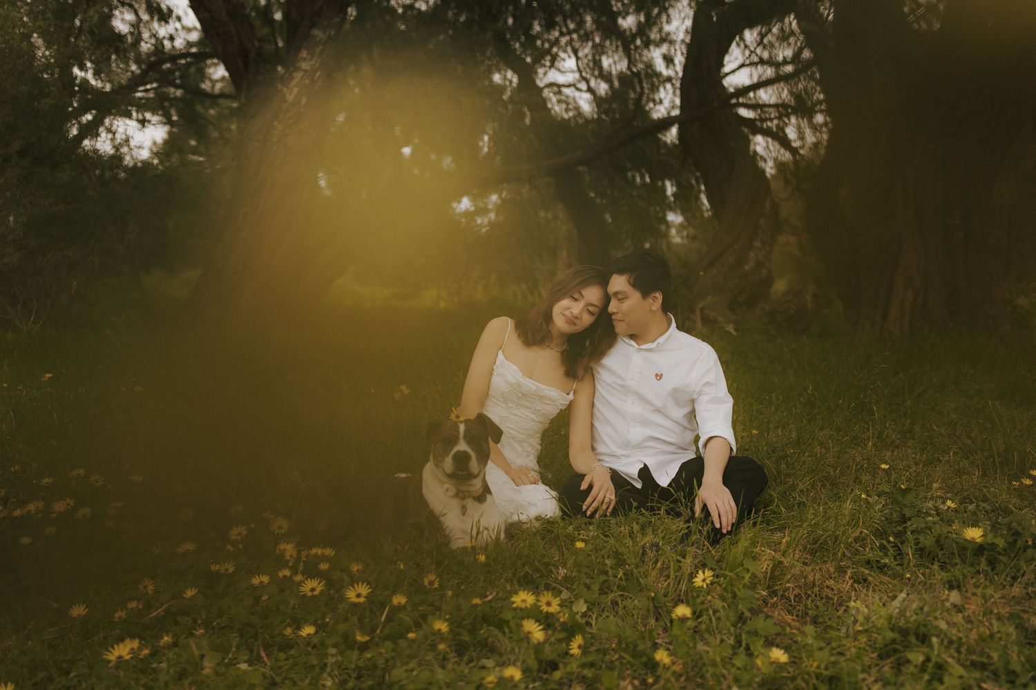 Couple shares intimate moments in a sun-drenched meadow with golden light filtering through trees during sunset.