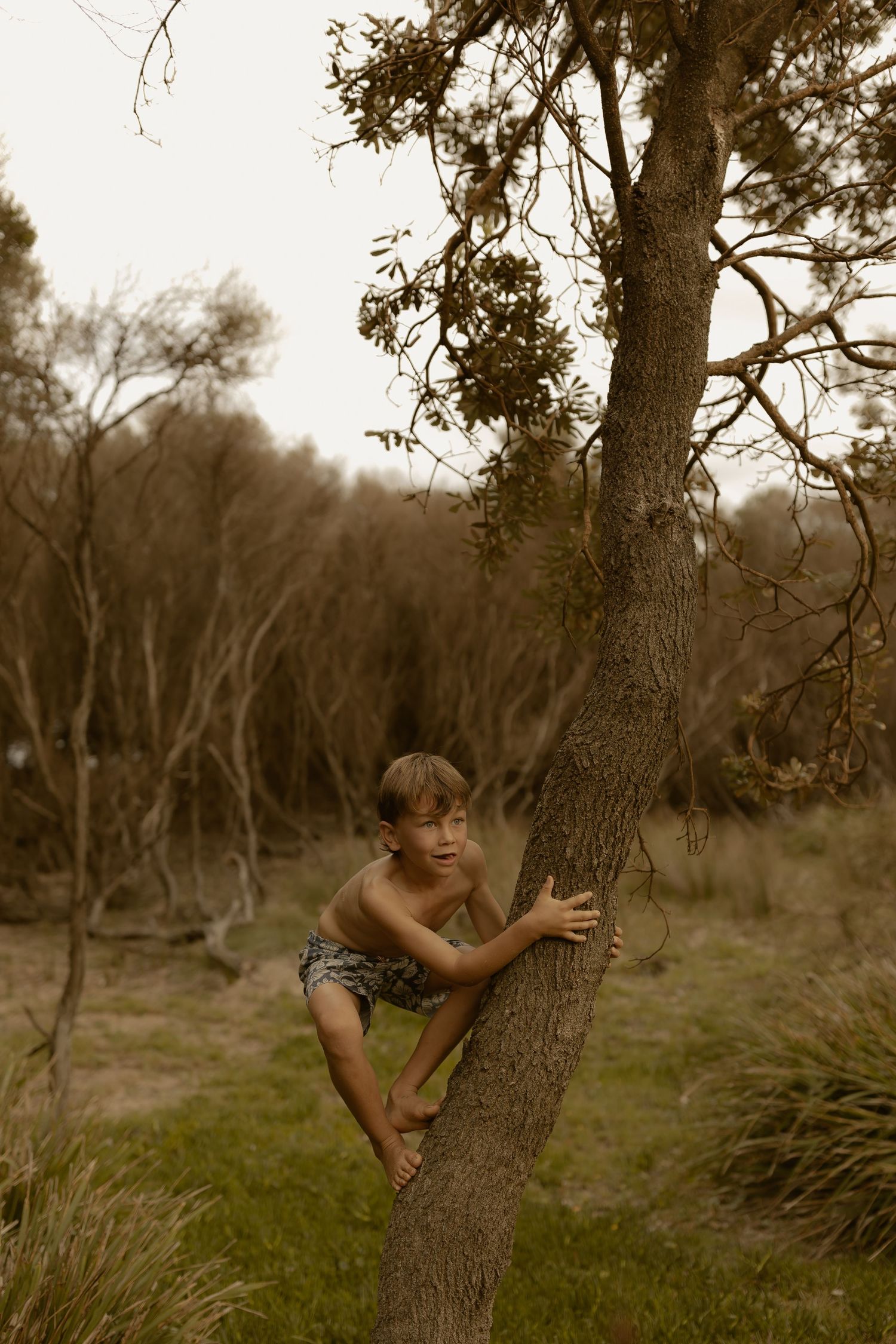 A child climbs a tree trunk in a sepia-toned natural setting with grass and branches in the background.