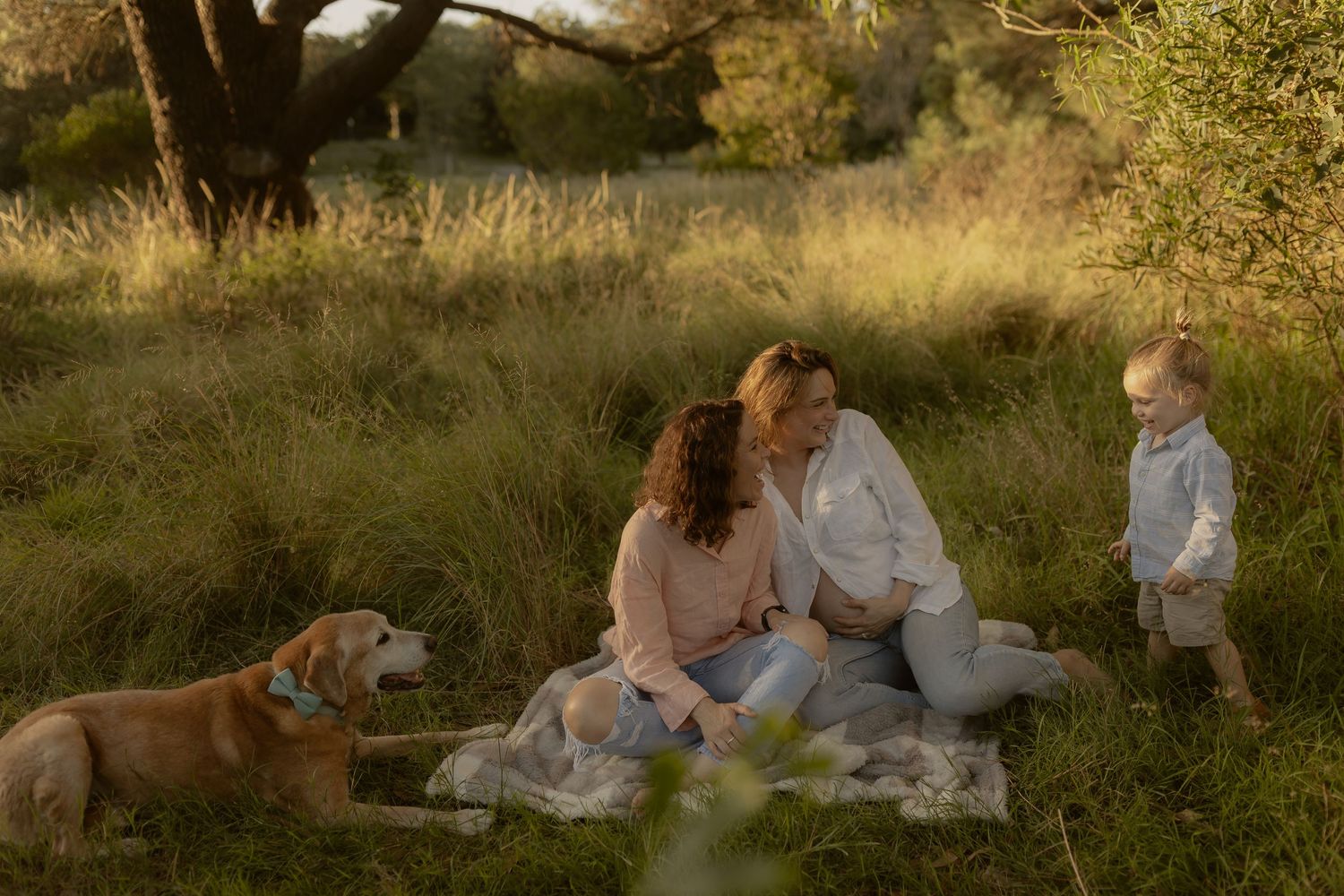 Family and dog enjoying a golden sunset picnic in a grassy meadow.