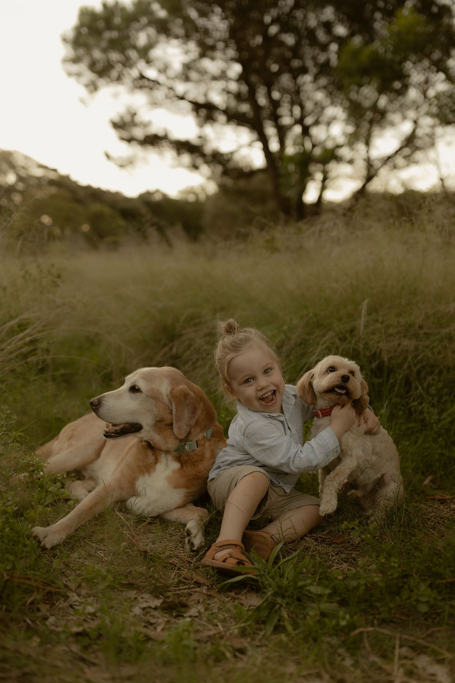 A child lies peacefully in the grass with two gentle dogs during a tranquil outdoor moment at sunset.