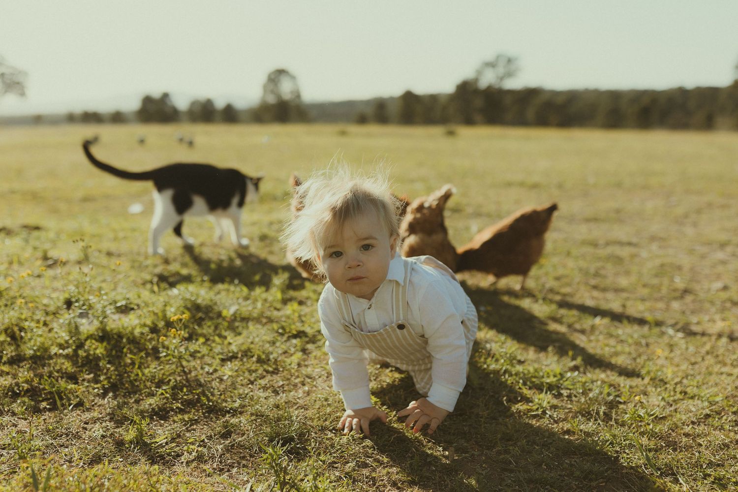 A toddler crawls in the grass while chickens and a cat roam nearby.