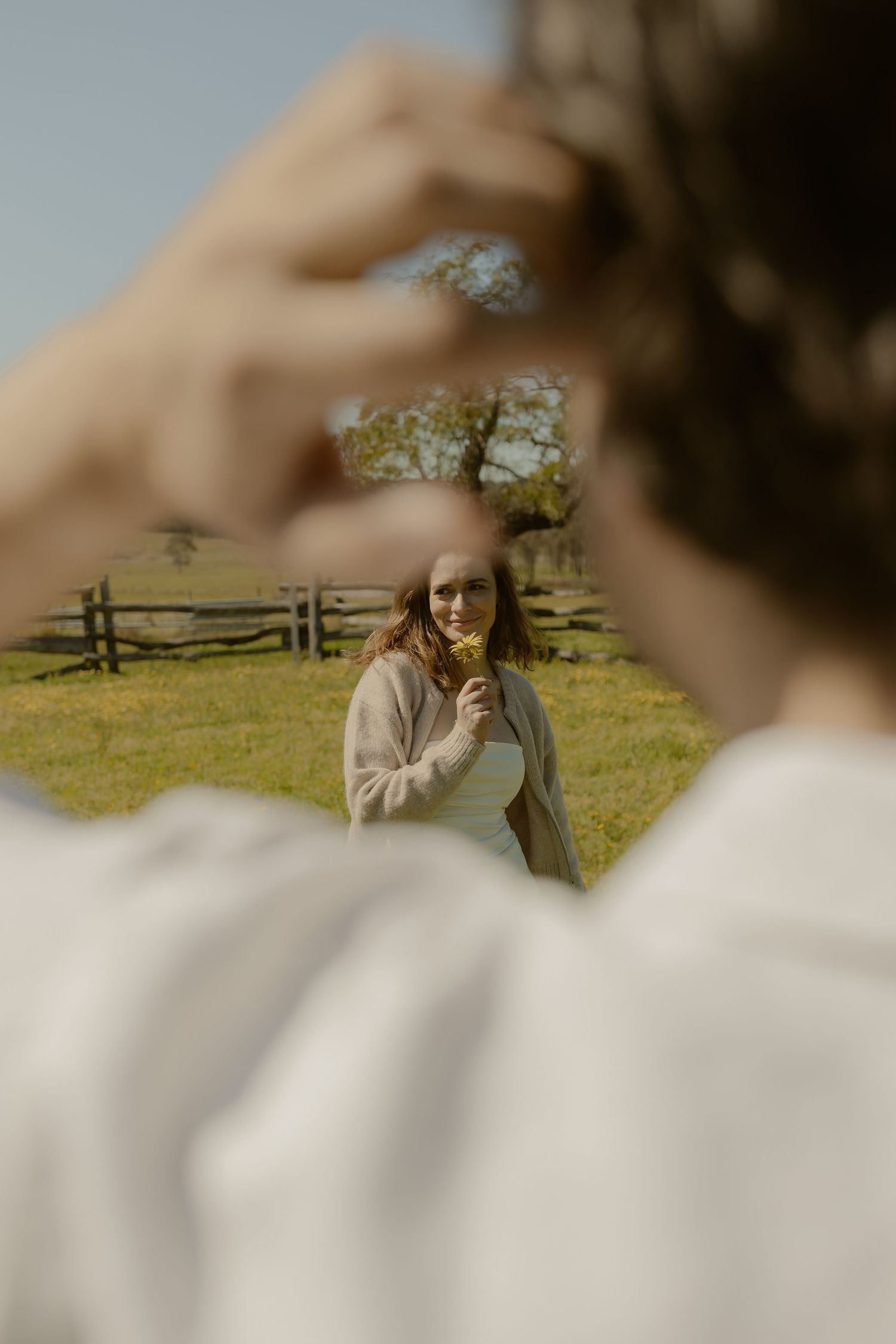 Romantic countryside scene with rustic wooden fence and soft natural lighting.