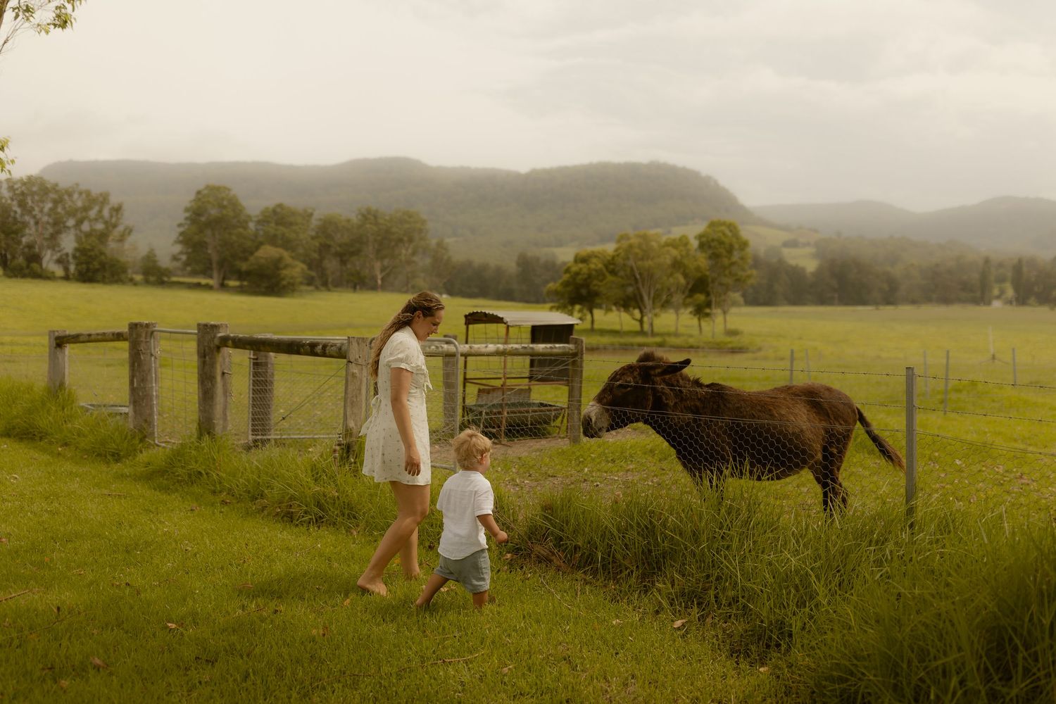 A countryside walk alongside a fence where a horse grazes in a pastoral setting.