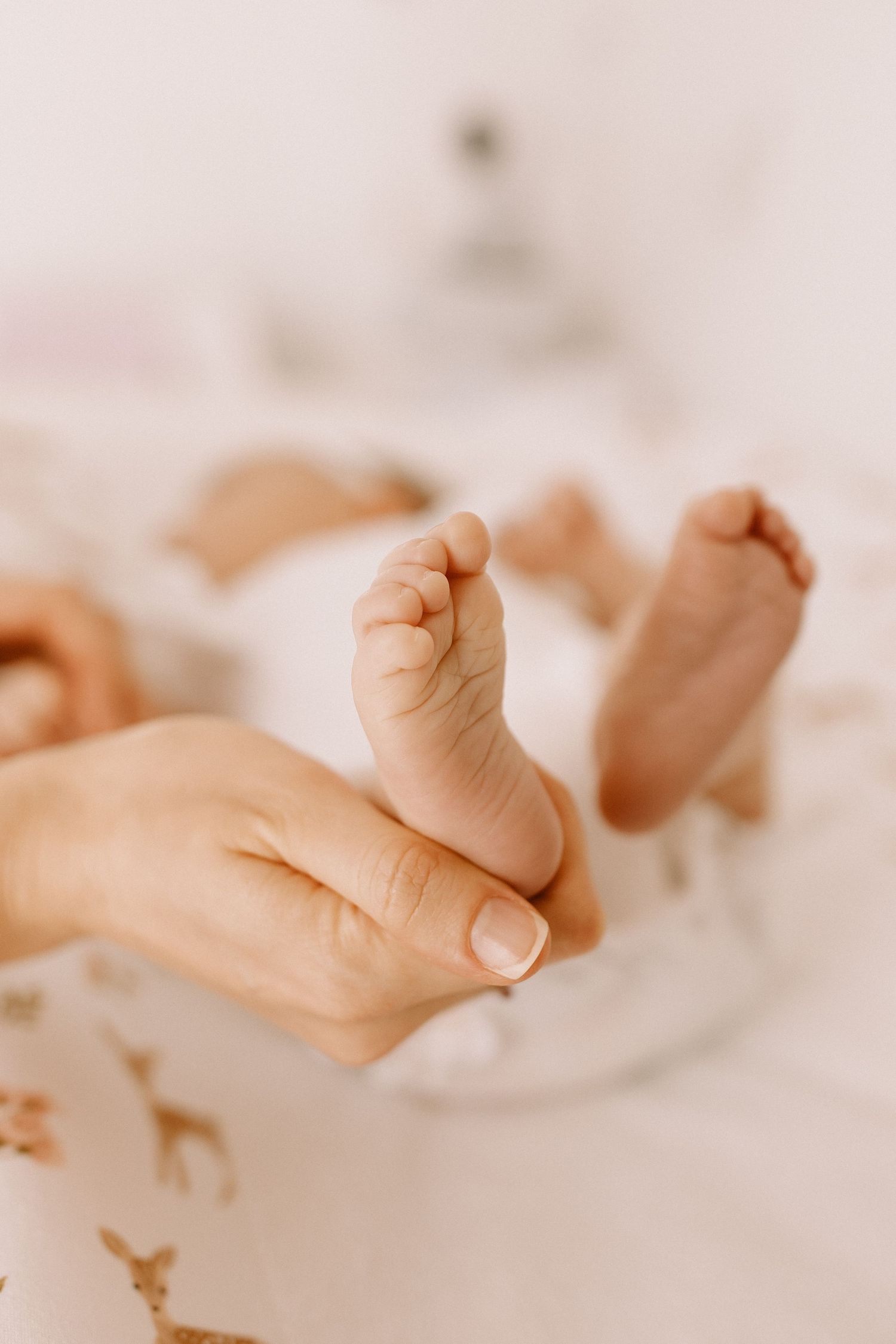Tiny newborn baby feet being gently cradled in an adult's hand against a soft neutral background.