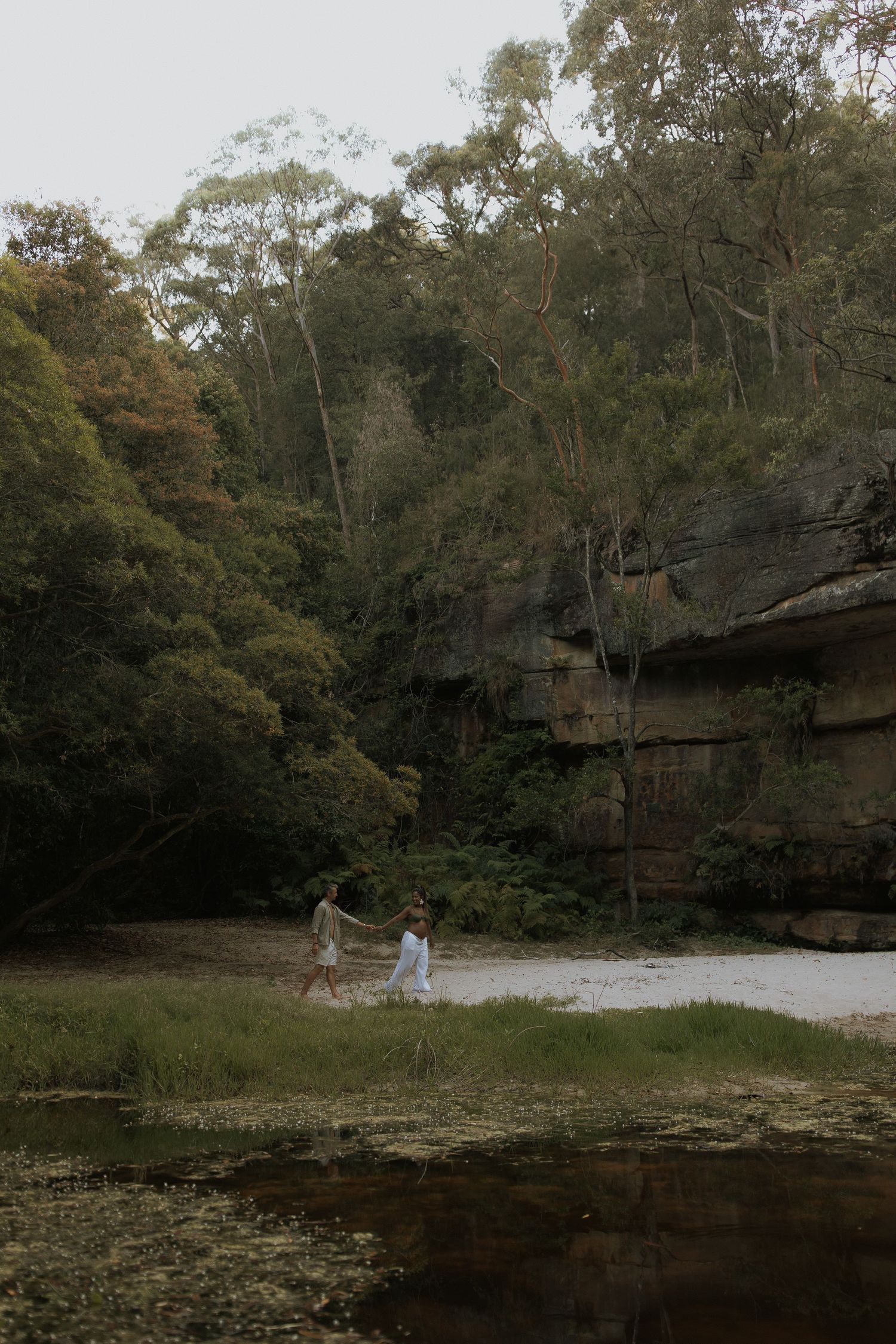 A serene creek bed surrounded by lush forest trees and rocky outcrops in a natural woodland setting.
