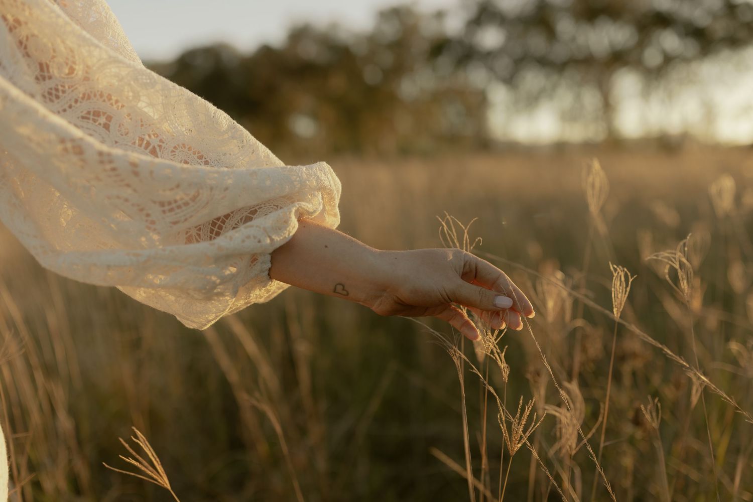 A woman in a white lace dress gently touches golden wheat grass in a sunlit field at sunset.