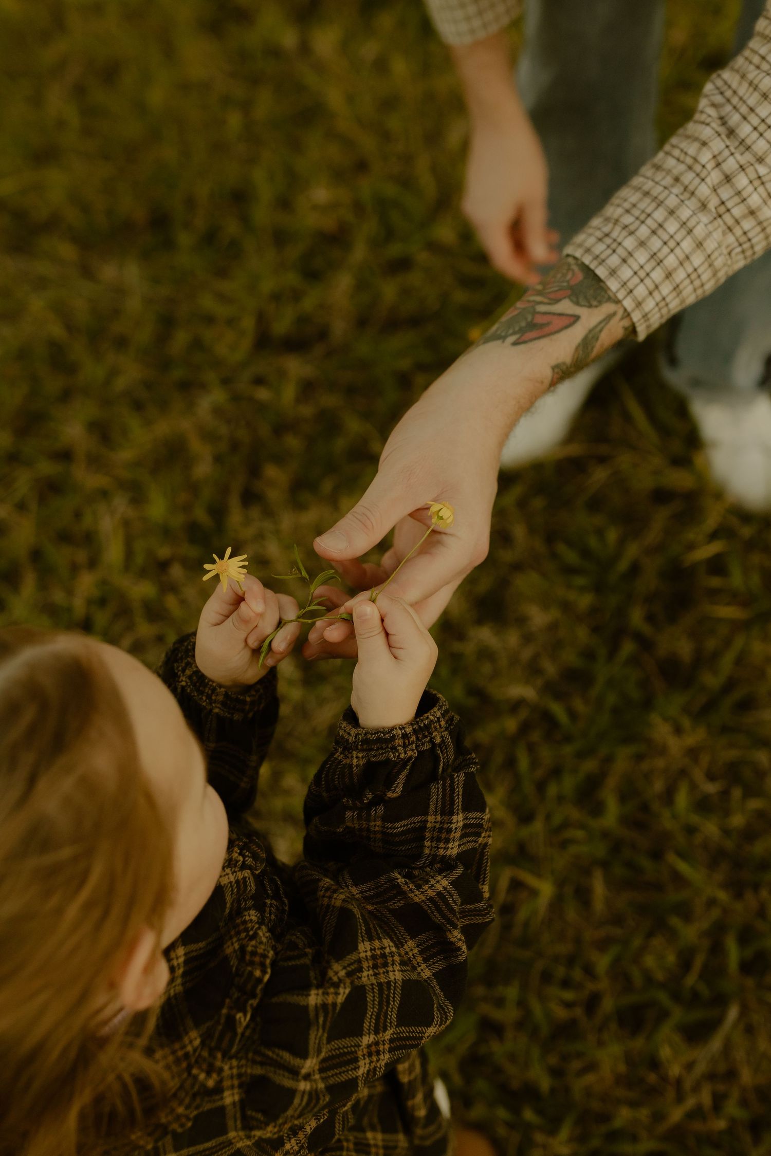 A tattooed adult hand gently passes a small flower to a child in a plaid shirt on green grass.