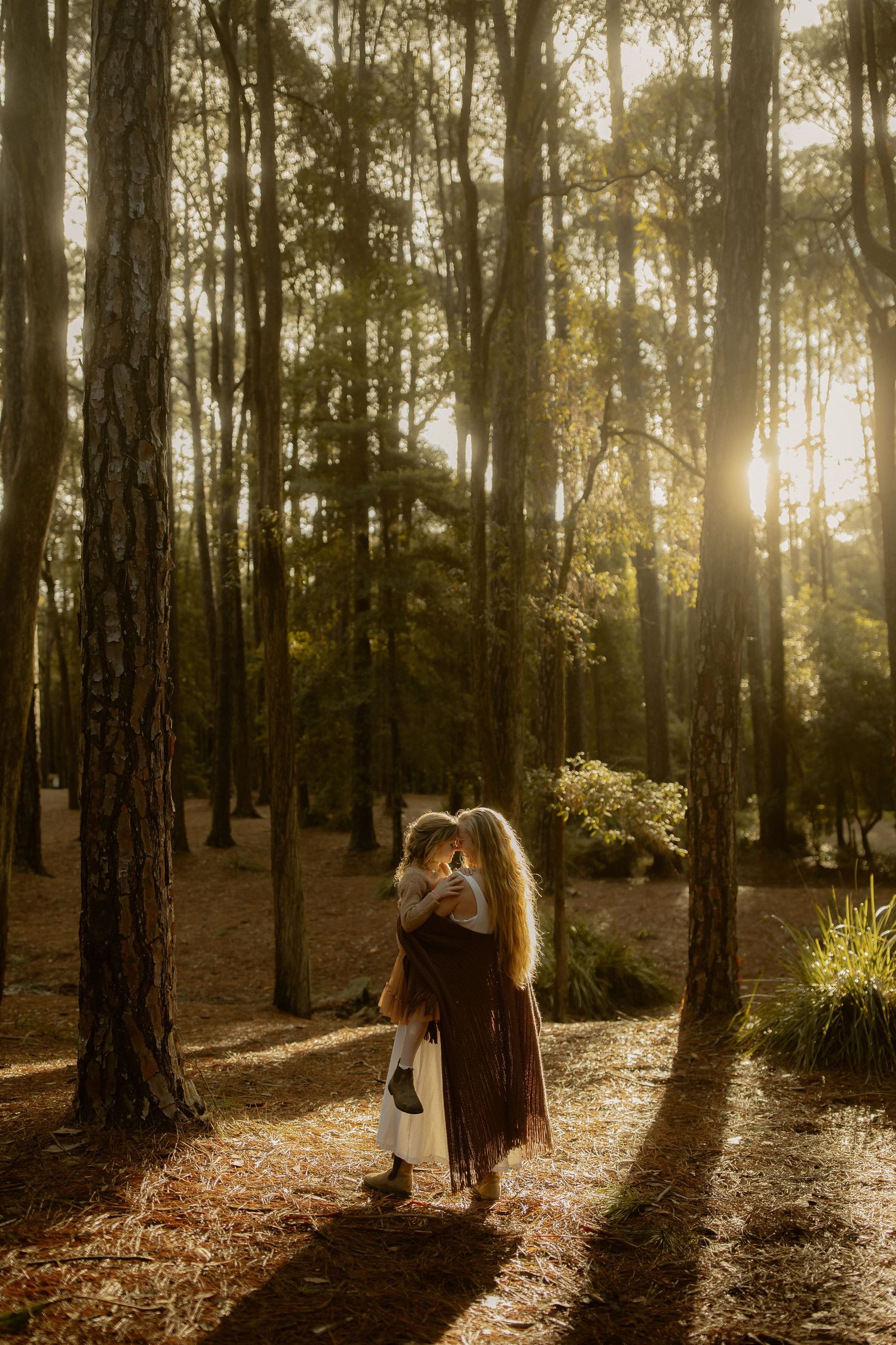 Golden sunlight streams through tall trees in a serene forest setting.