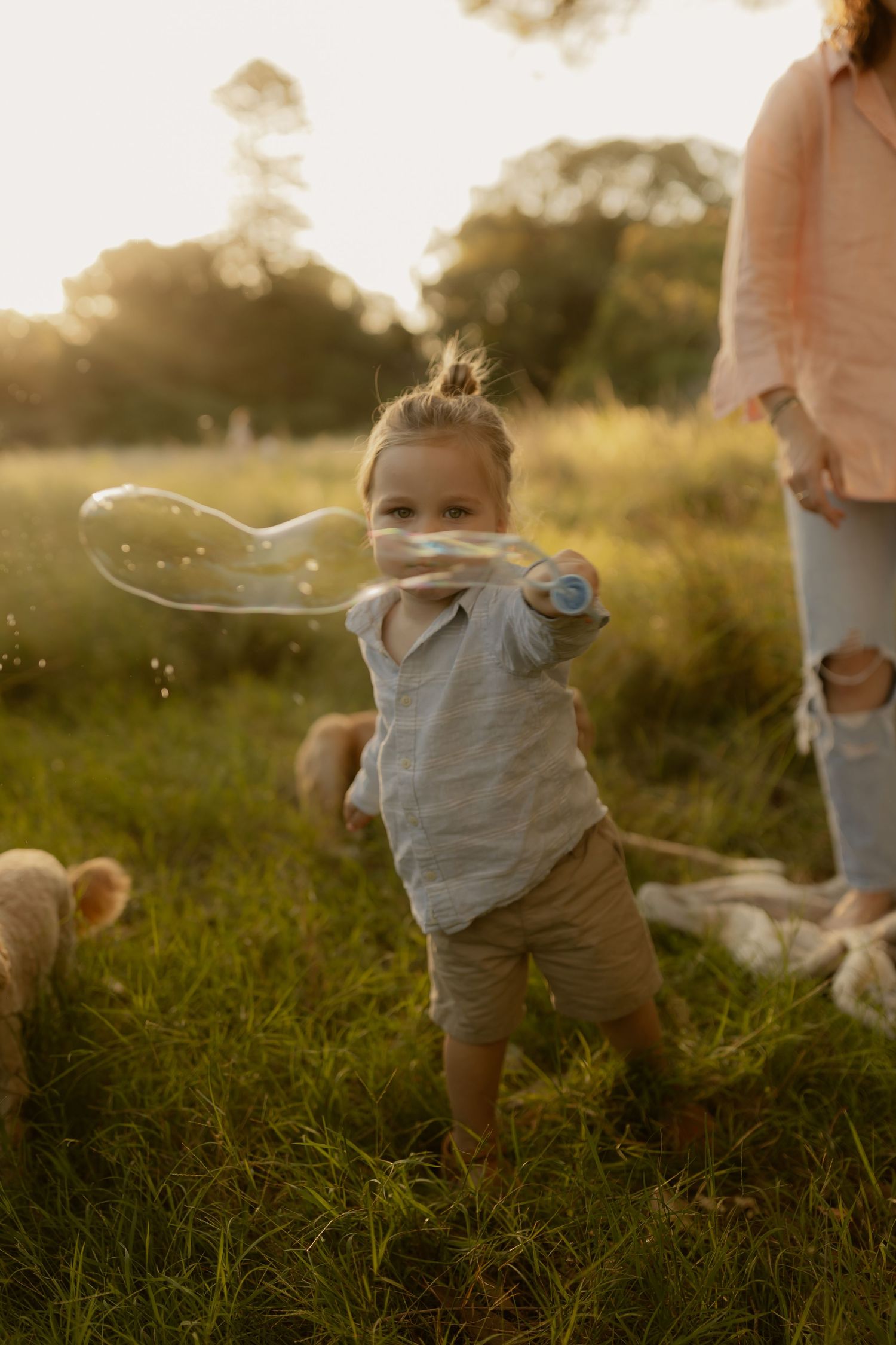 Small child playing and running through tall grass at sunset.