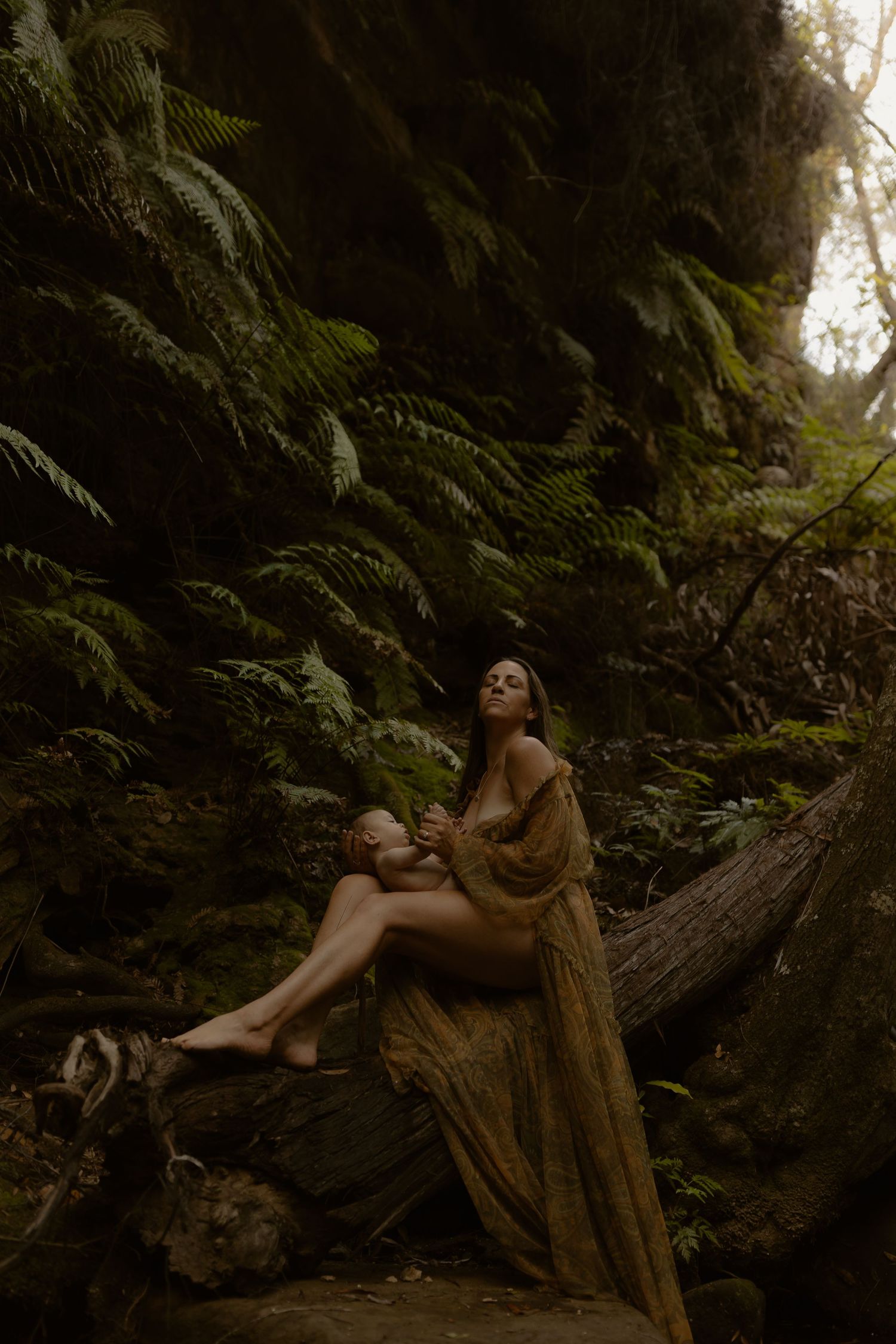 An atmospheric photo of a figure in golden dress reclining on a fallen log amid ferns in a misty forest.