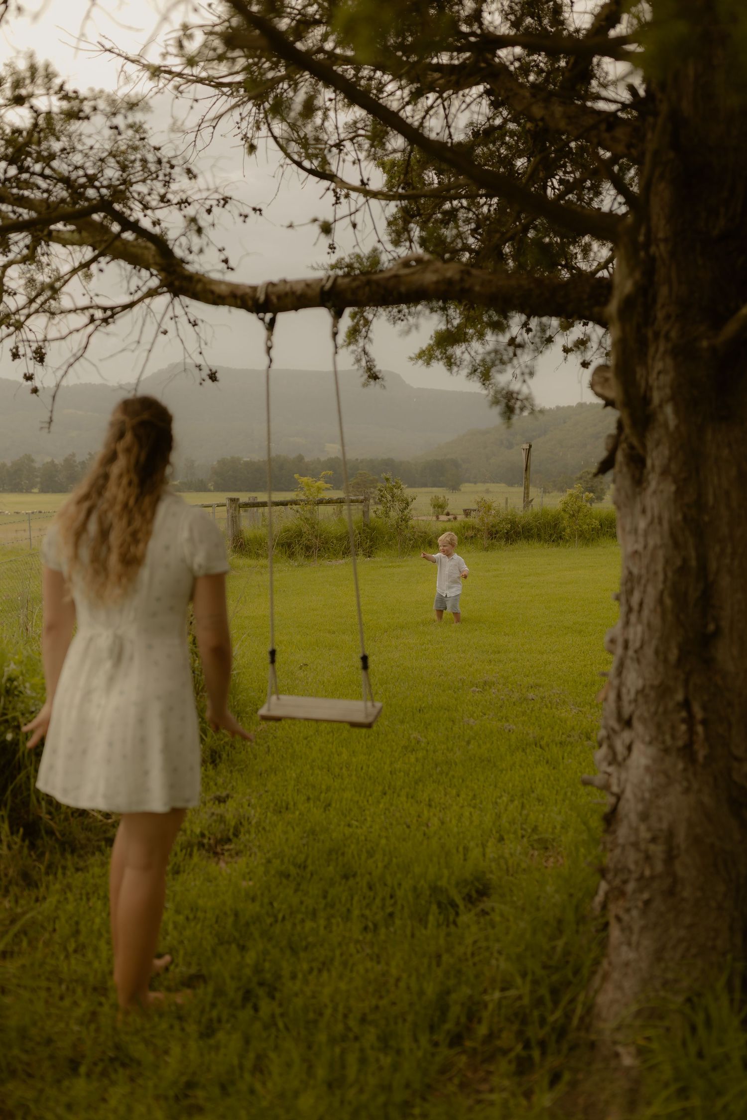 A tree swing hangs in a pastoral setting with rolling hills in the background.