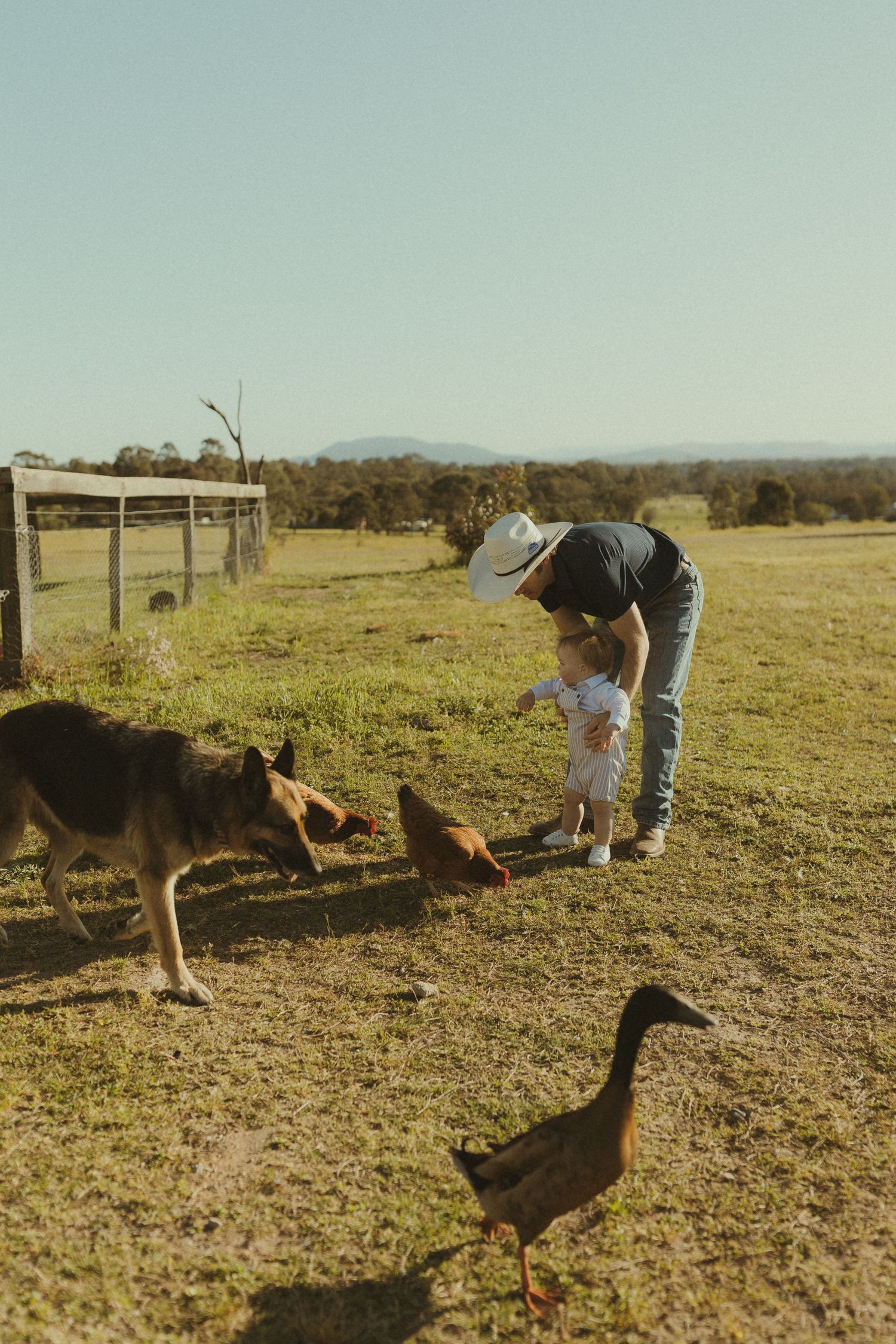 A sequence of photos showing someone interacting with dogs and chickens in a rural farm setting.