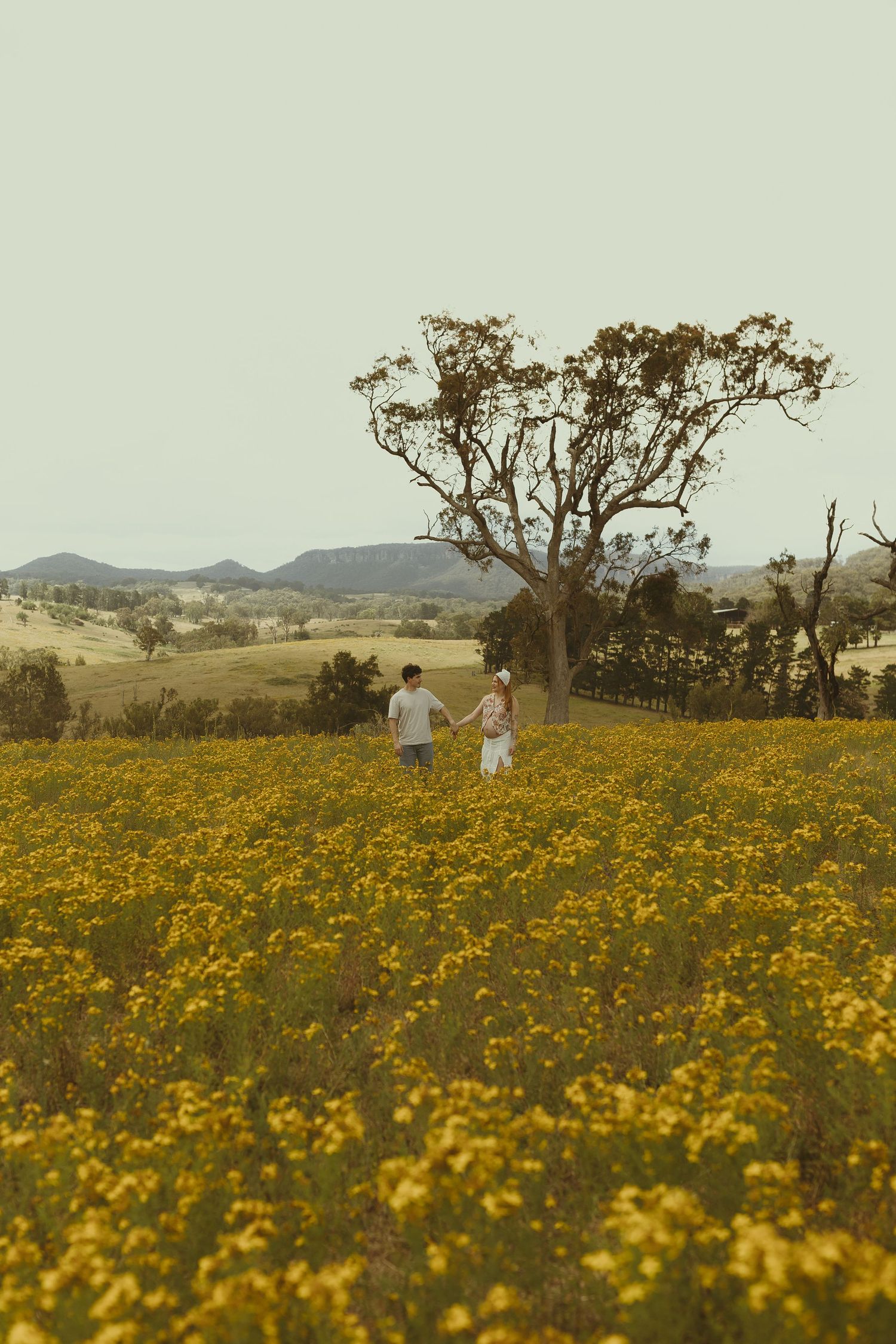 Two people walk through a sun-drenched field of yellow wildflowers with a large tree and mountains in the distance.