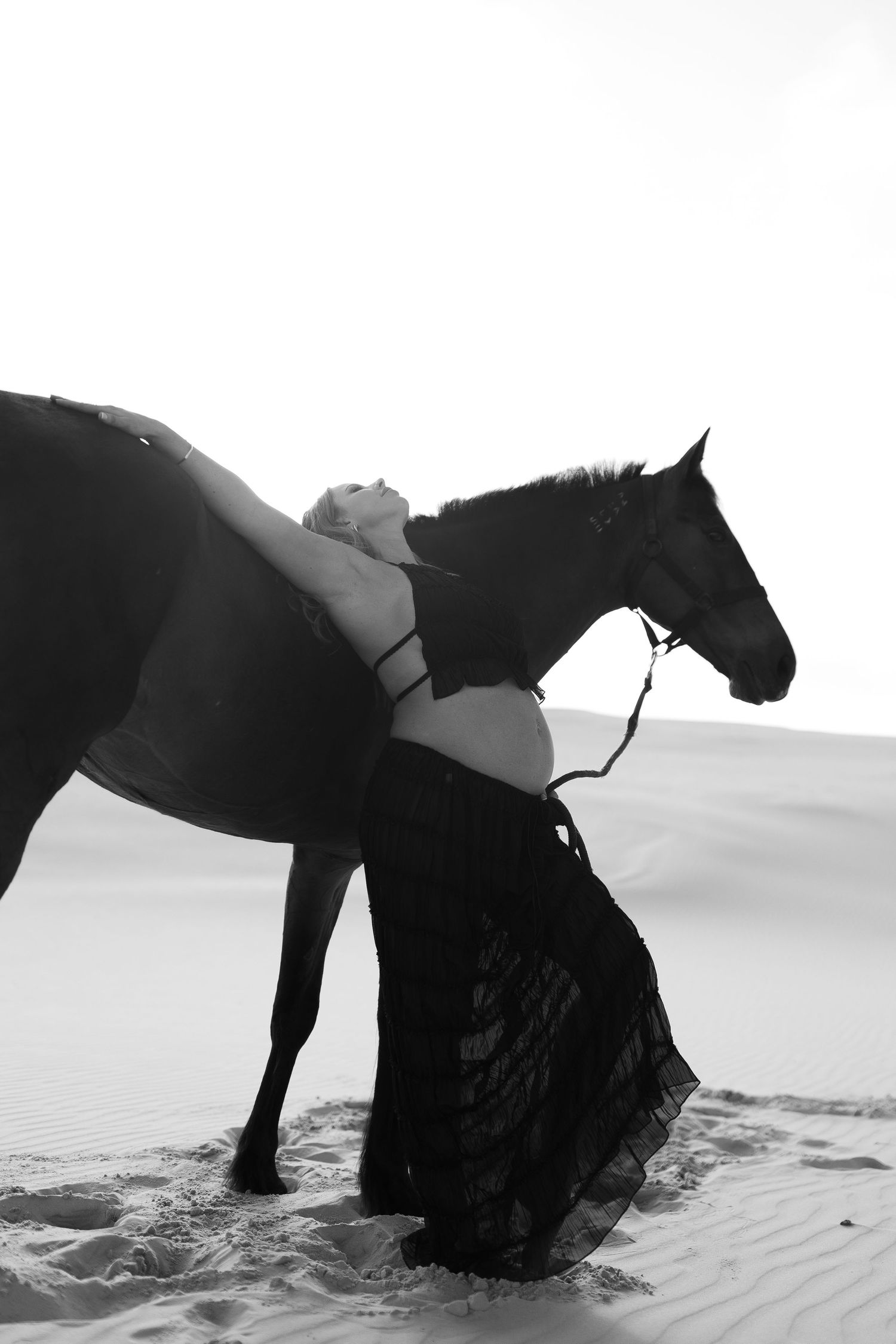 Dramatic black and white silhouette of a horse rolling in desert sand dunes.