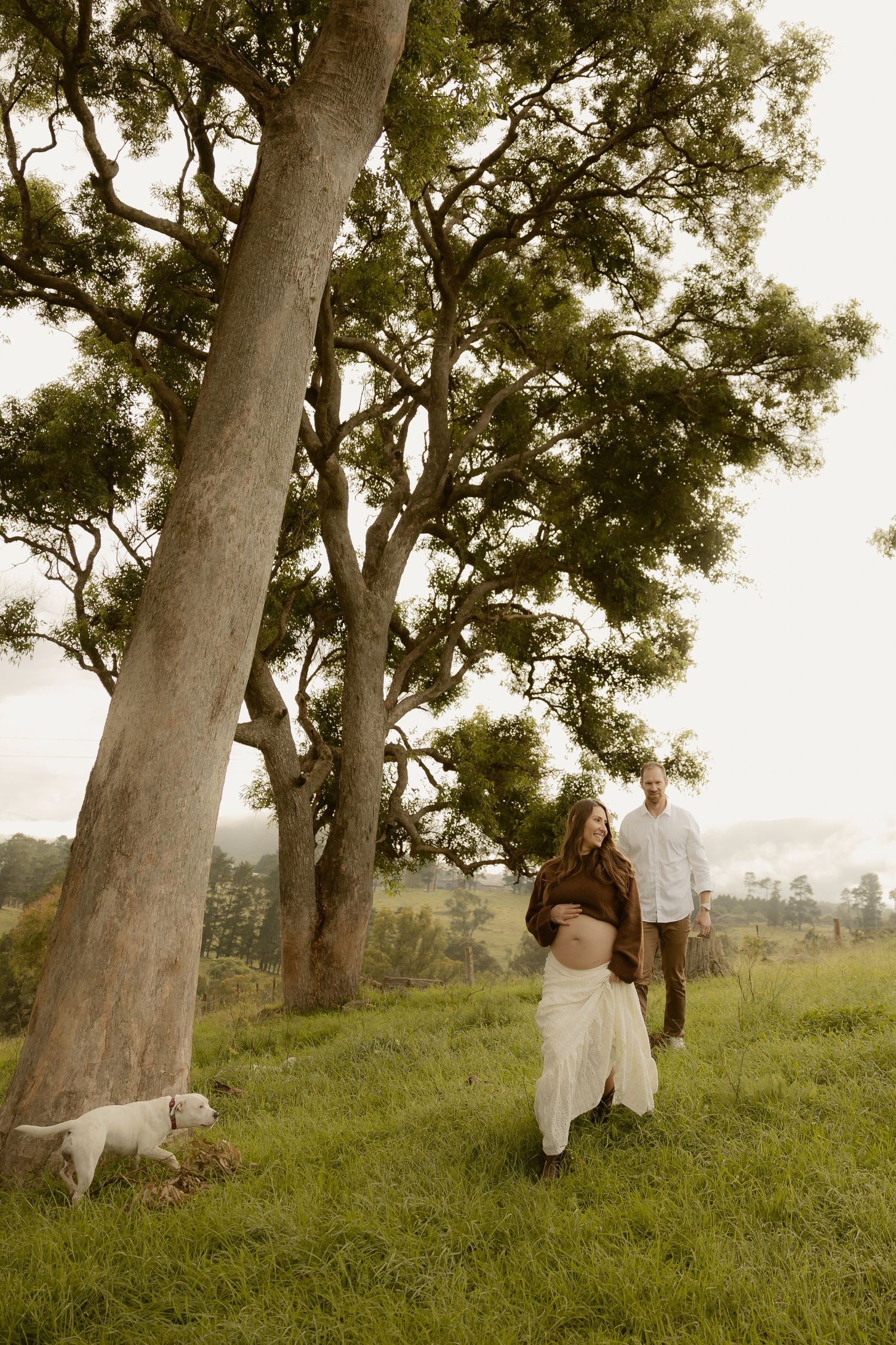 Outdoor maternity photography in Sydney, Central Coast, Blue Mountains, Wollongong, in field, farm, garden and countryside