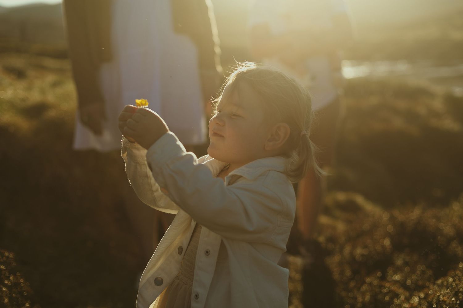 A child holds up a small object while standing in golden sunlight during magic hour with backlighting creating a warm glow.