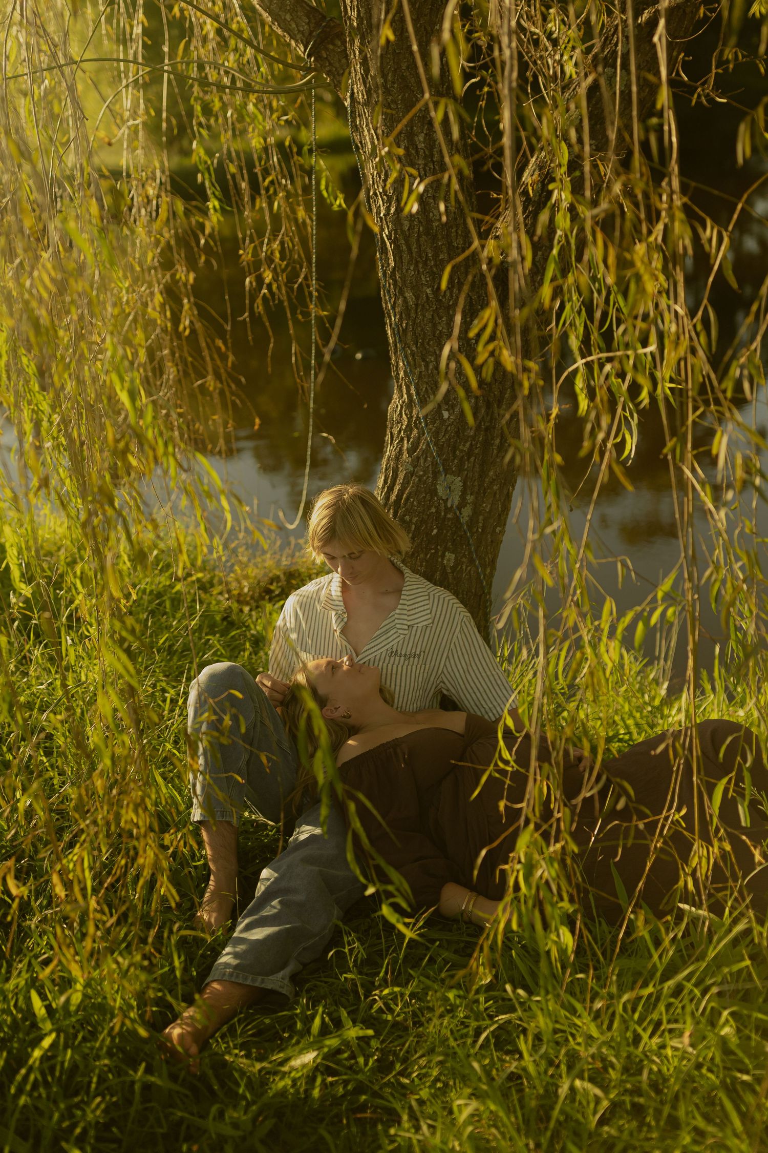 A figure sits under a willow tree with hanging branches in golden sunlight creating a dreamy outdoor scene.