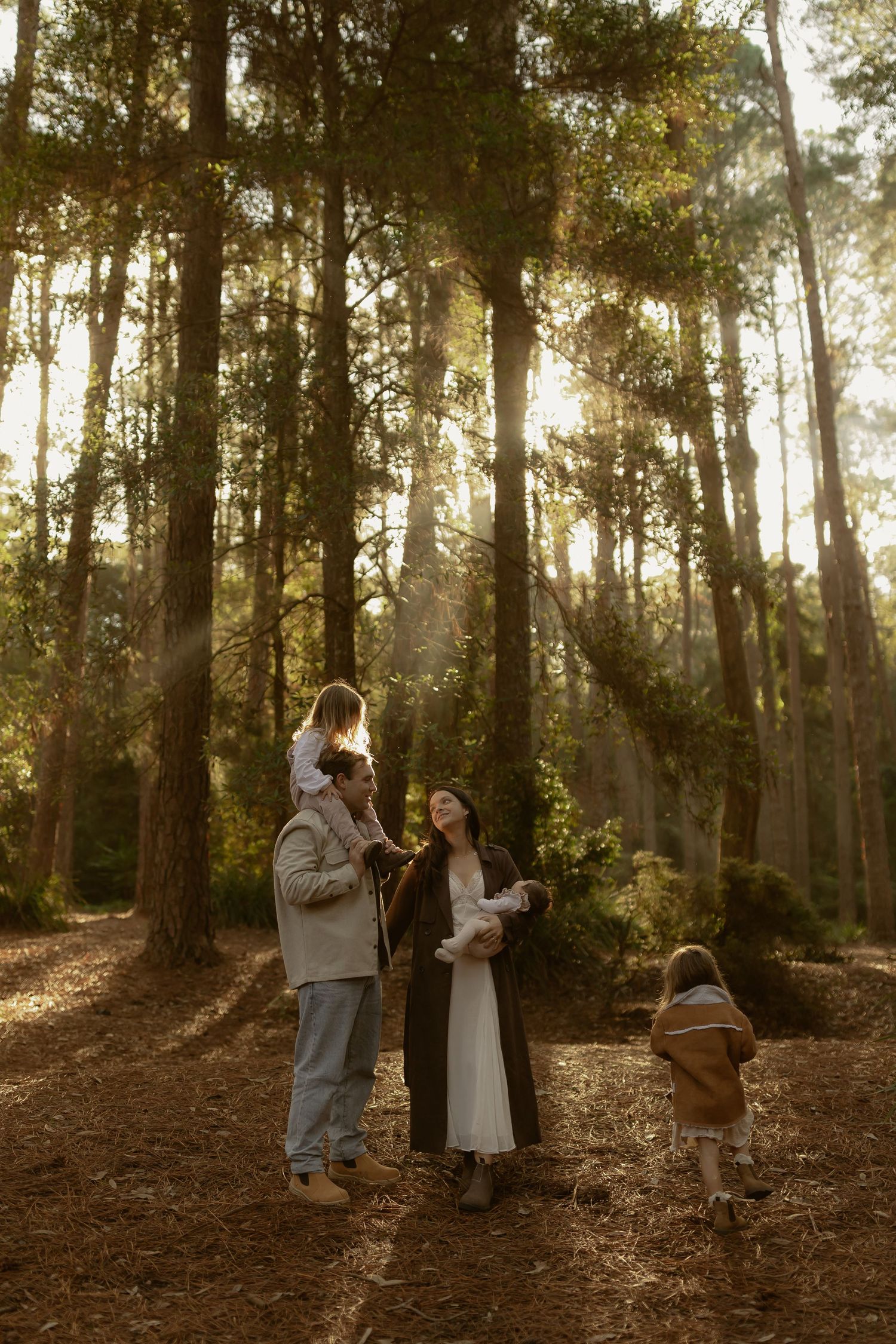 Family of four bathed in golden sunlight rays in a tall pine forest.
