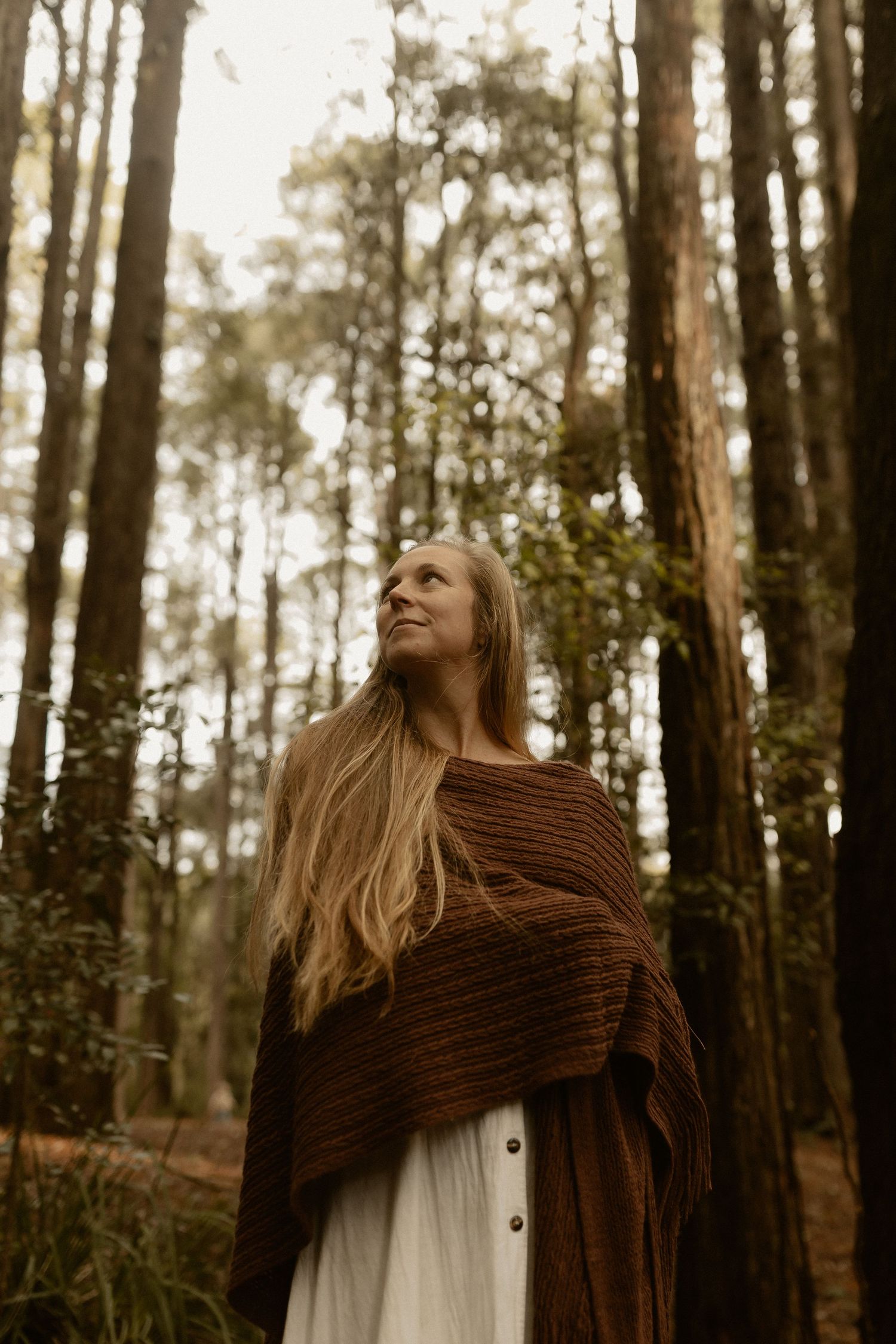 A person wearing a brown knit shawl and white dress stands contemplatively among tall forest trees at sunset.