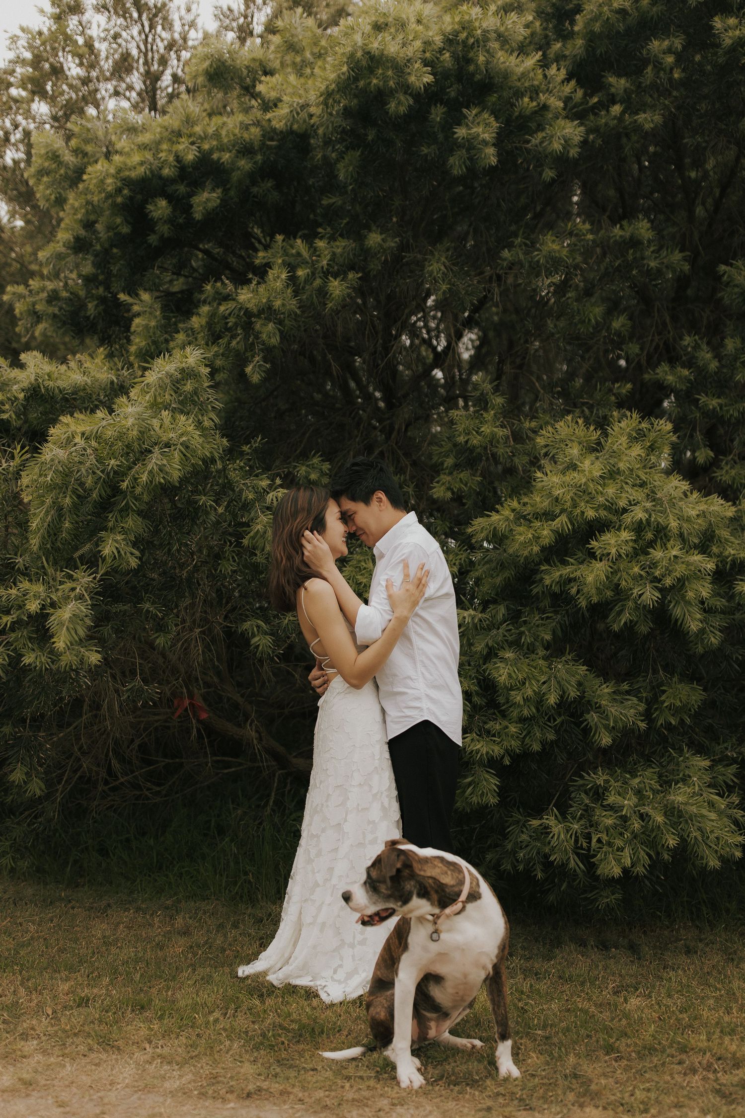 A romantic couple in white outfits share an intimate moment outdoors with their dog in a natural setting.