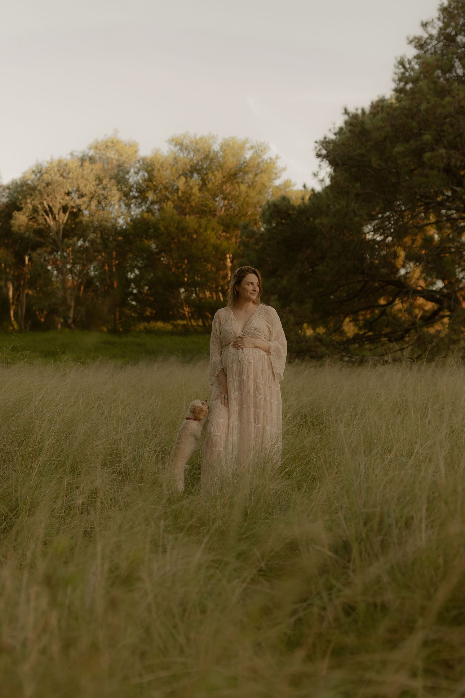 A person in a white dress stands in a golden field at sunset with trees in the background.