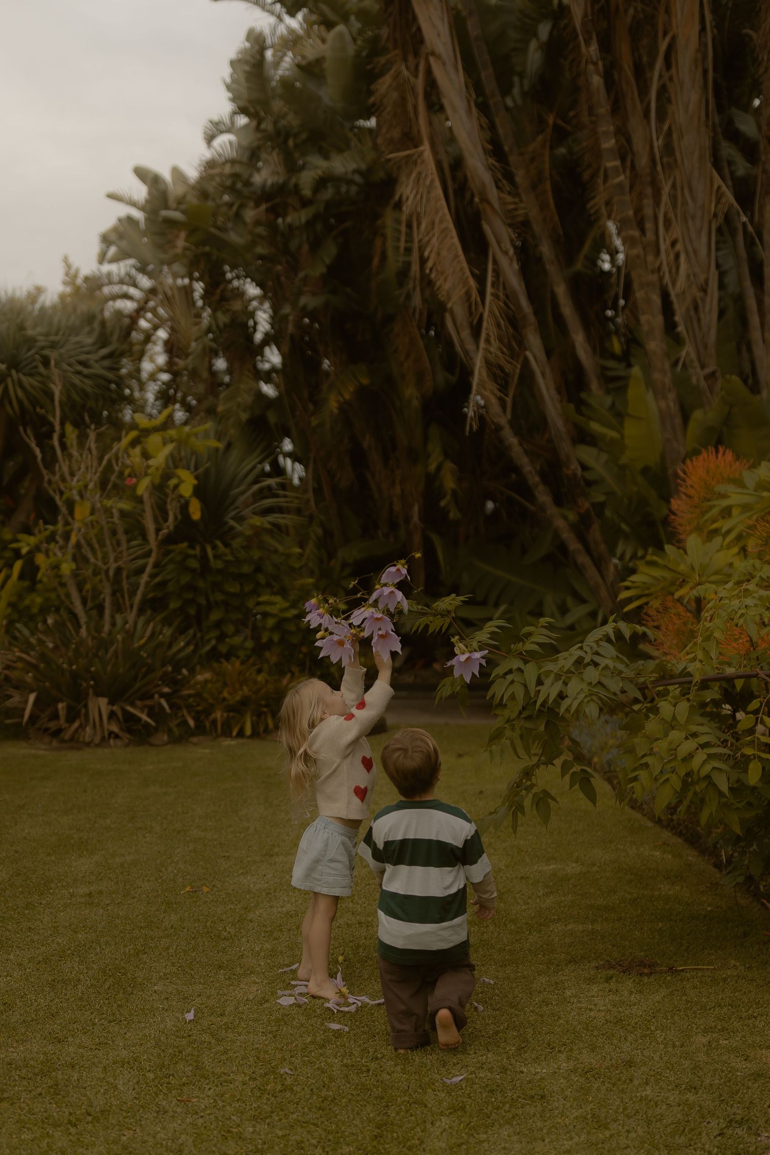 Two young children playing on green lawn, girl holding purple flowers up while boy reaches toward her in lush garden.