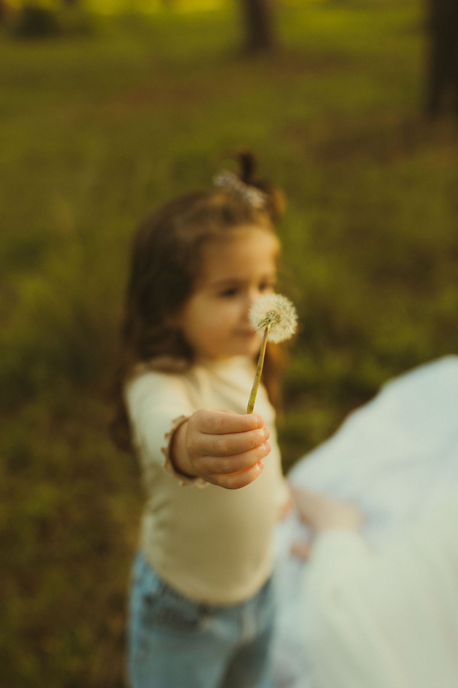 Small child holding dandelion flower in soft focus with dreamy sunset lighting.