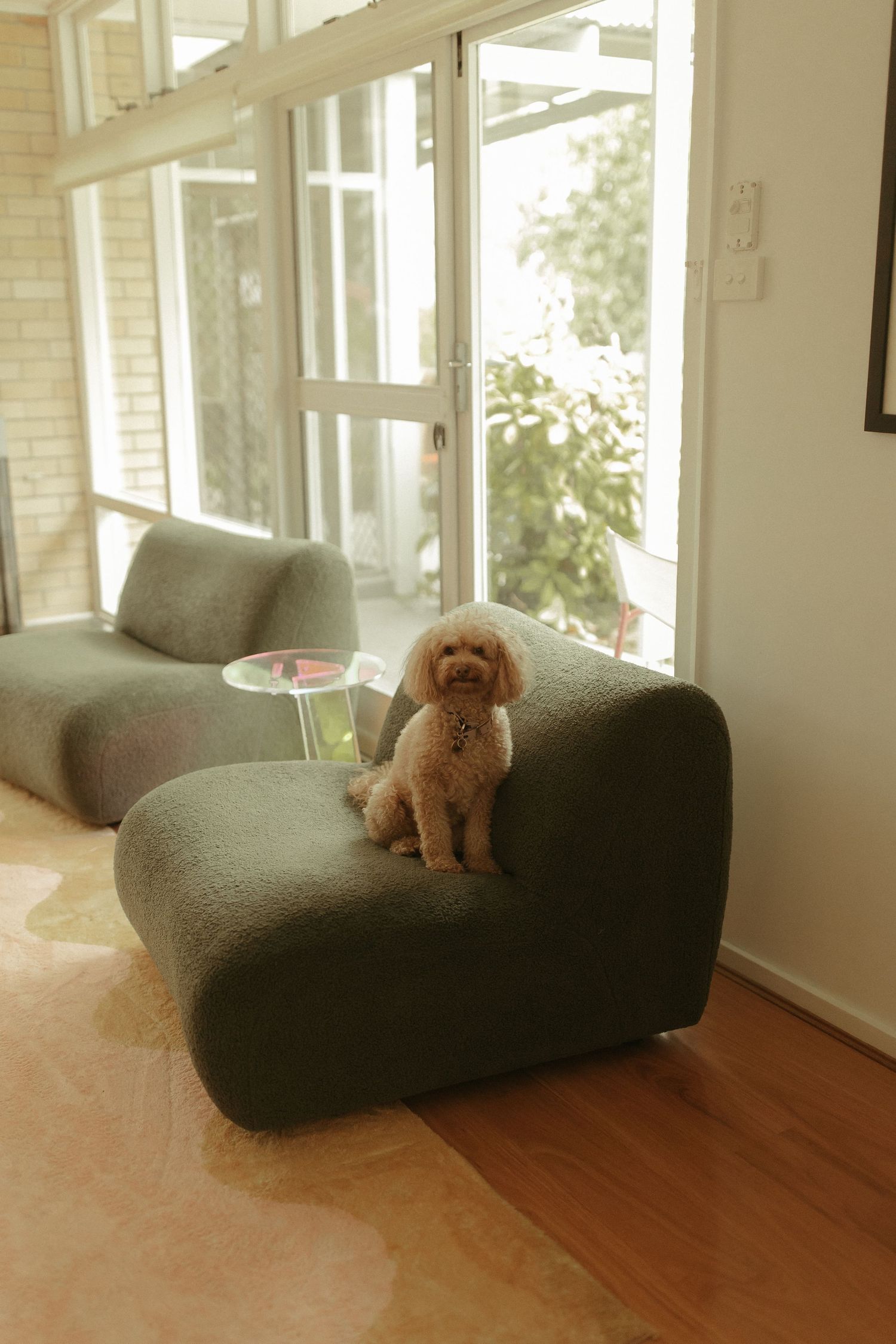 A brown teddy bear sits alone on a gray modern chaise lounge near sunlit windows.