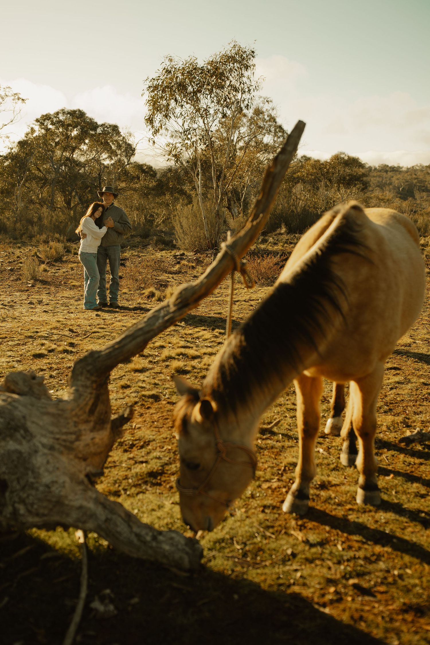 A horse grazes on dry ground in the Australian outback with figures and trees in the background.