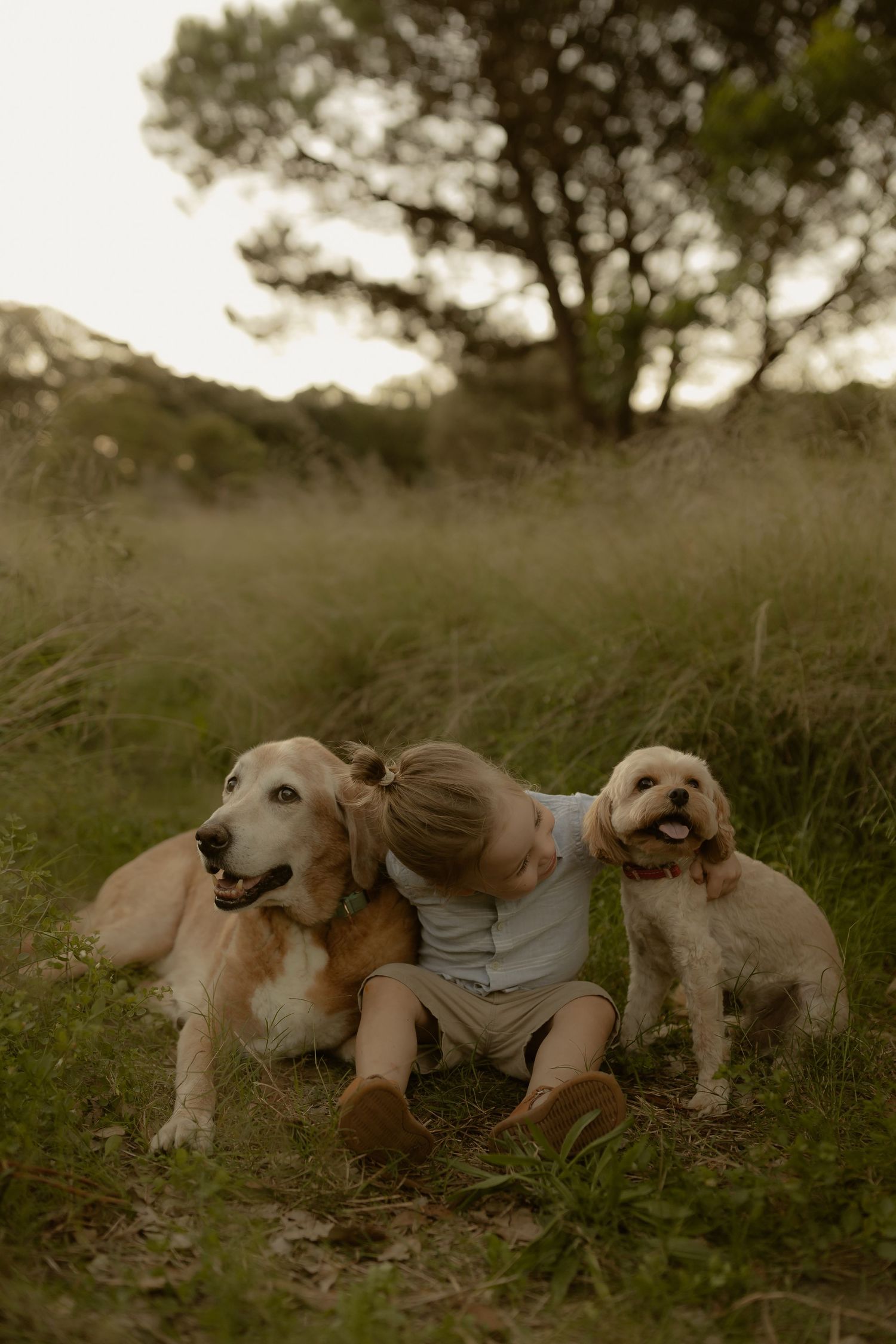 Outdoor family photography in Sydney, Central Coast, Blue Mountains, Wollongong and Kangaroo Valley, in field, farm, garden and countryside