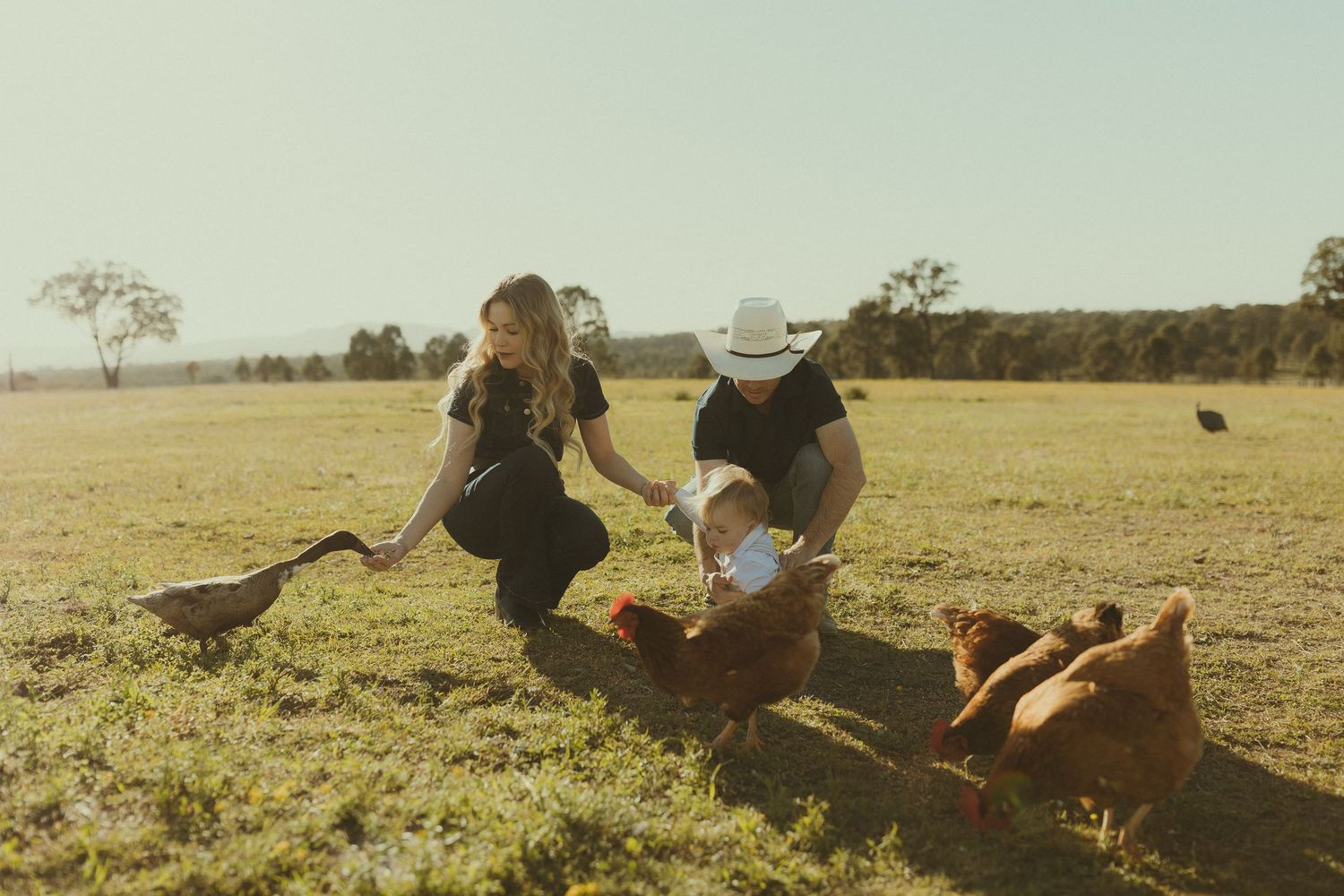 A family feeds chickens together in a rustic farm setting.